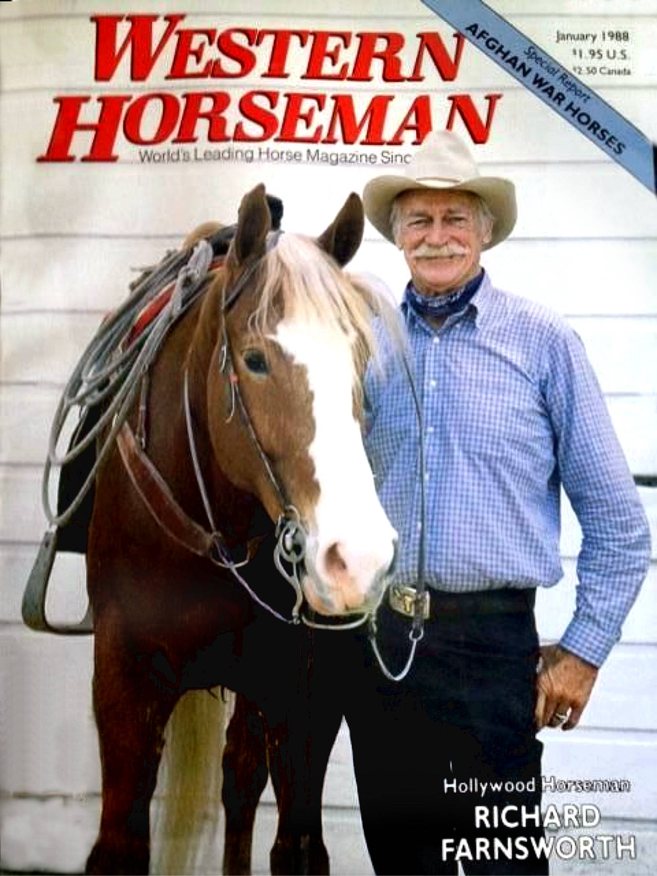 Richard Farnsworth, cowboy hat, saddled brown and white horse, HD Phone Wallpaper
