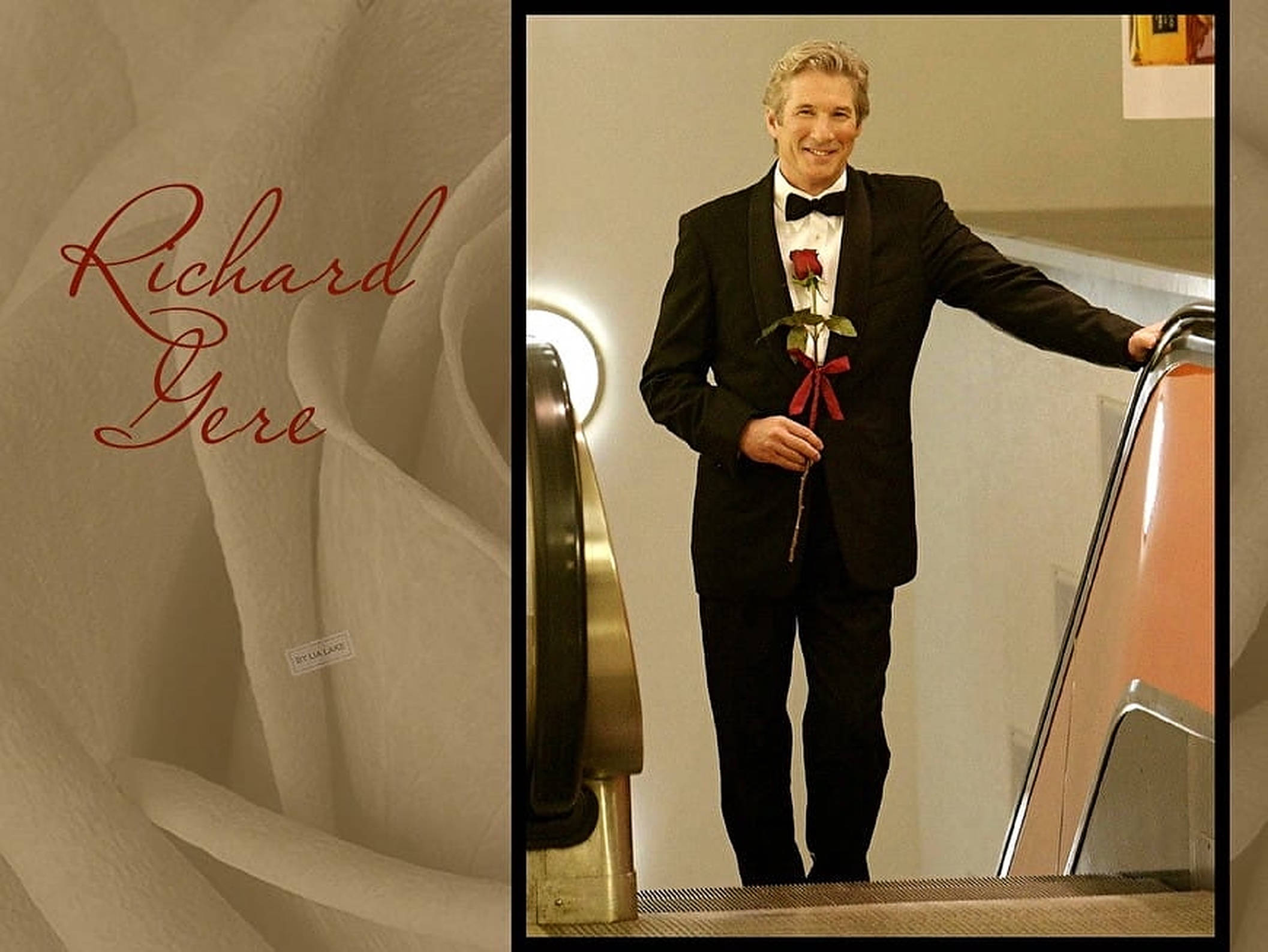Richard Gere, tuxedo, red rose, Full HD Desktop Wallpaper