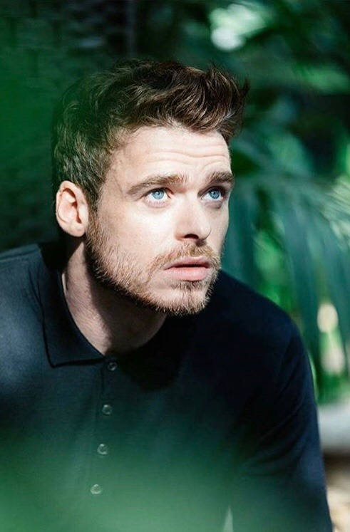Richard Madden, blue eyes, beard, SD Phone Wallpaper