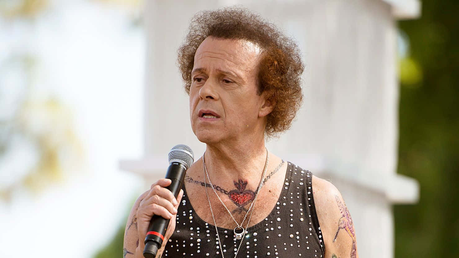 Richard Simmons, microphone, curly hair, HD Desktop Wallpaper
