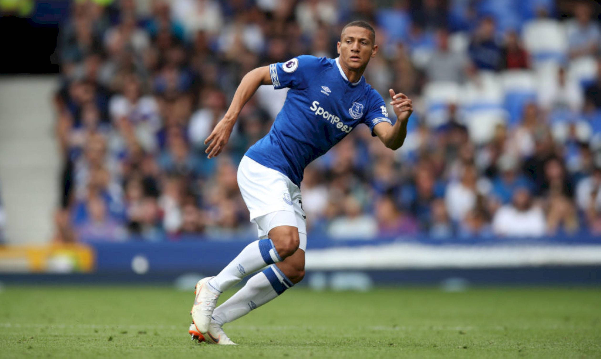 Richarlison De Andrade, blue jersey, sunlit green pitch, Full HD Desktop Wallpaper