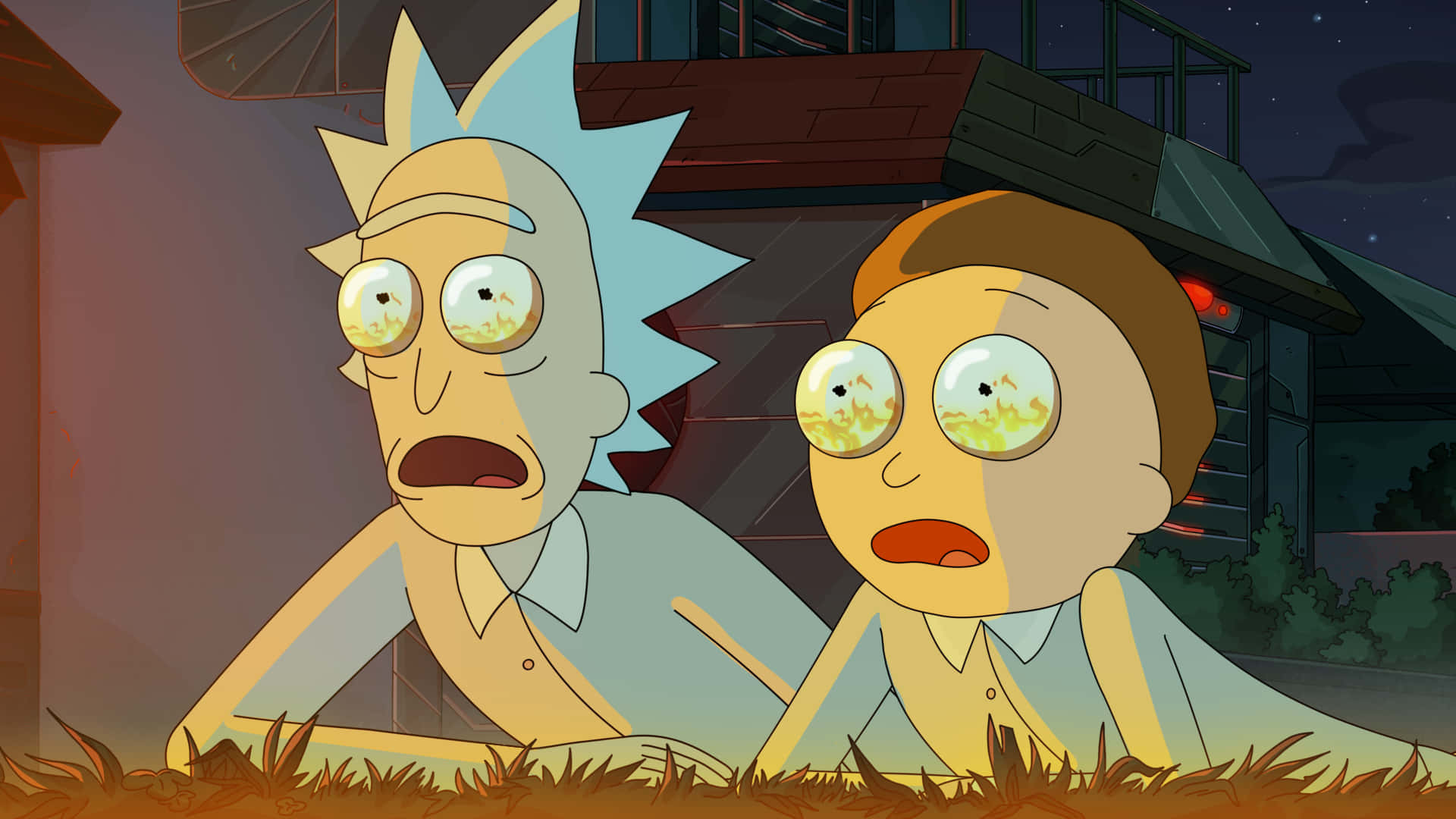 Rick And Morty, grass, night, Full HD Desktop Wallpaper