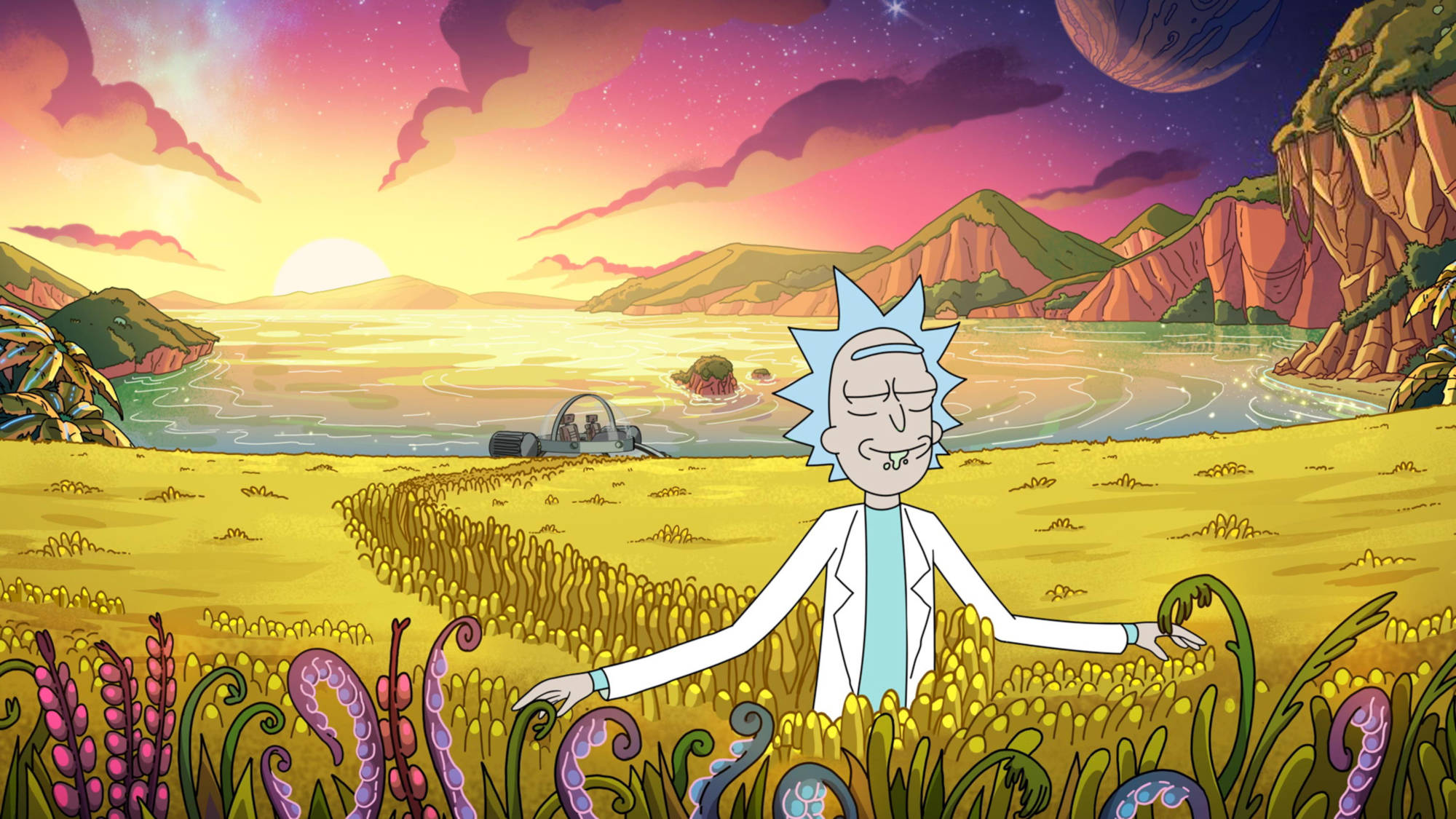Rick Sanchez, sunset, alien field, Full HD Desktop Wallpaper