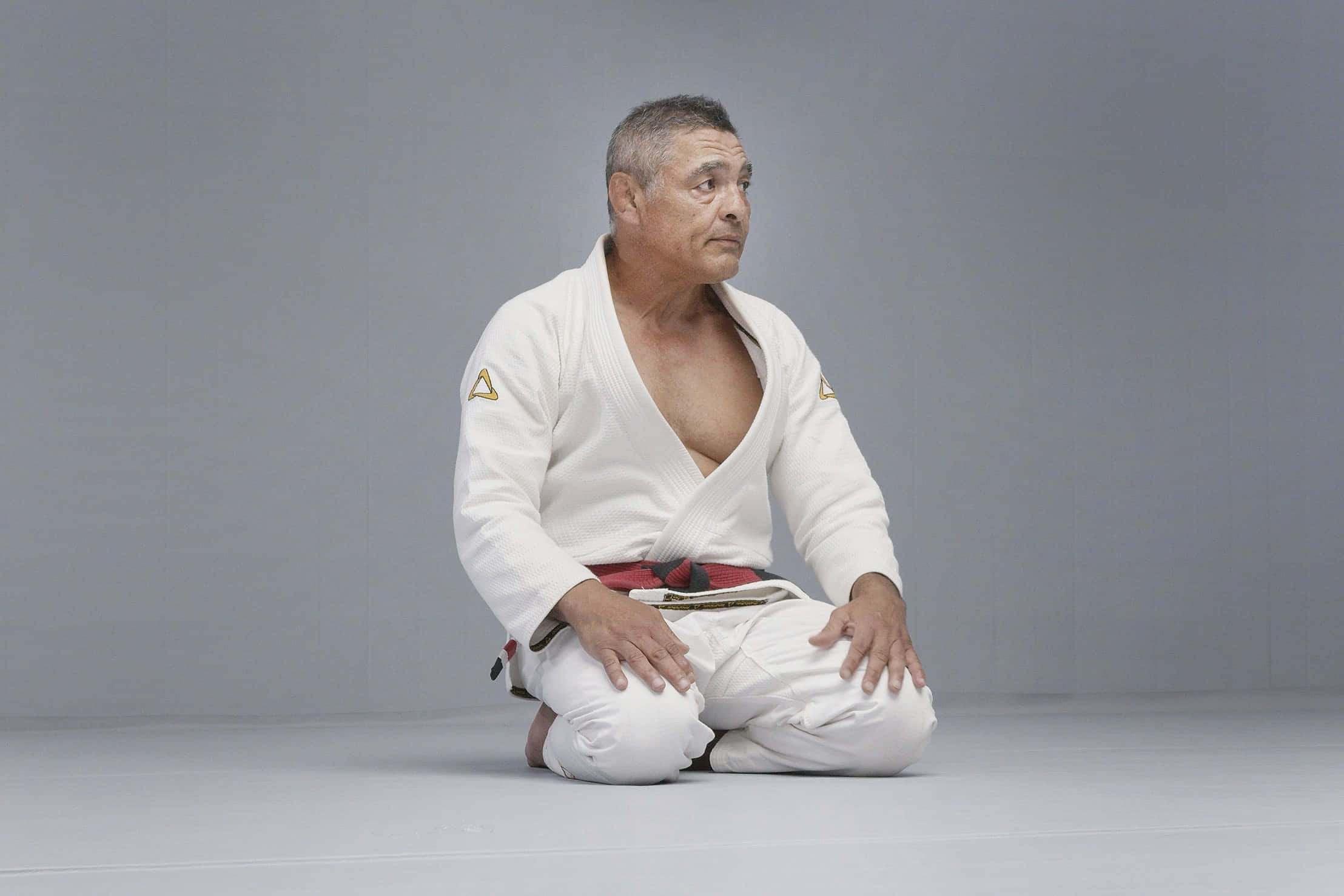 Rickson Gracie, white judo gi, red belt, Full HD Desktop Wallpaper
