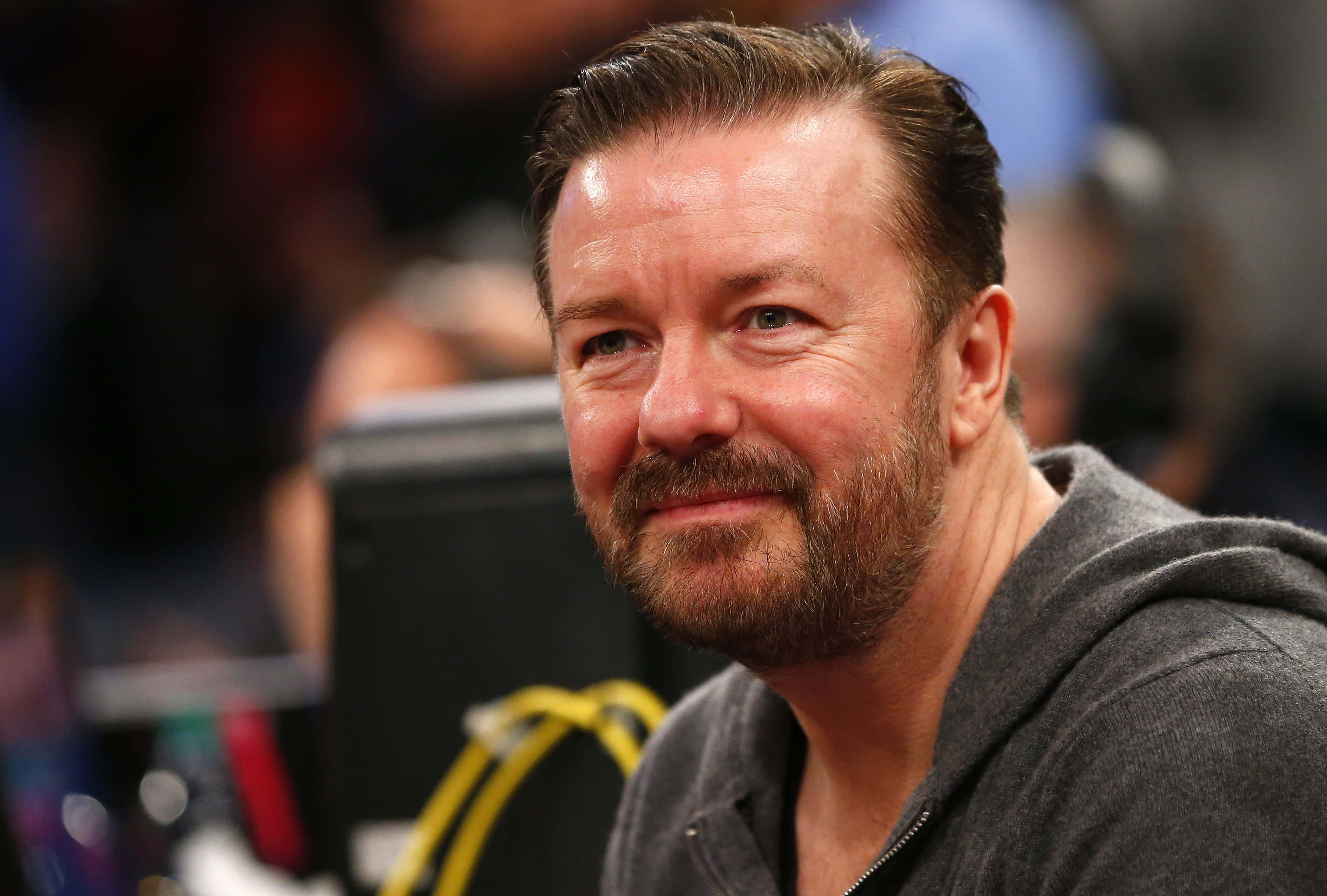 Ricky Gervais, gray hoodie, beard, 2K Desktop Wallpaper