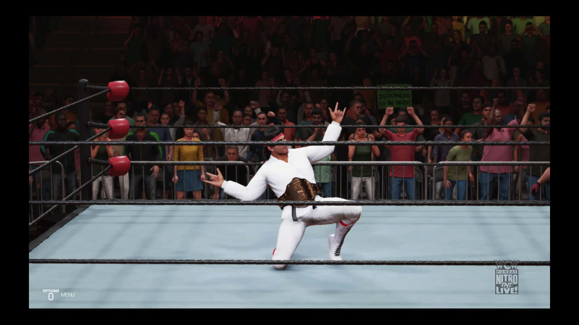 Ricky Steamboat, white gear, ring, Full HD Desktop Wallpaper