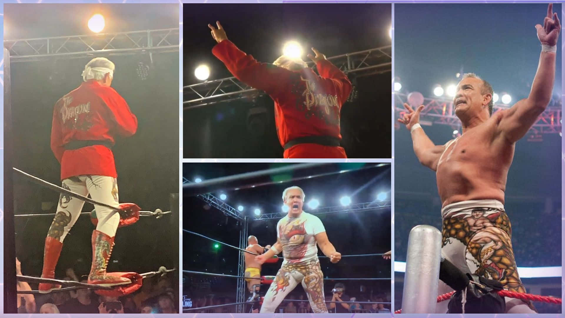 Ricky Steamboat, red jacket, tiger-print trunks, Full HD Desktop Wallpaper
