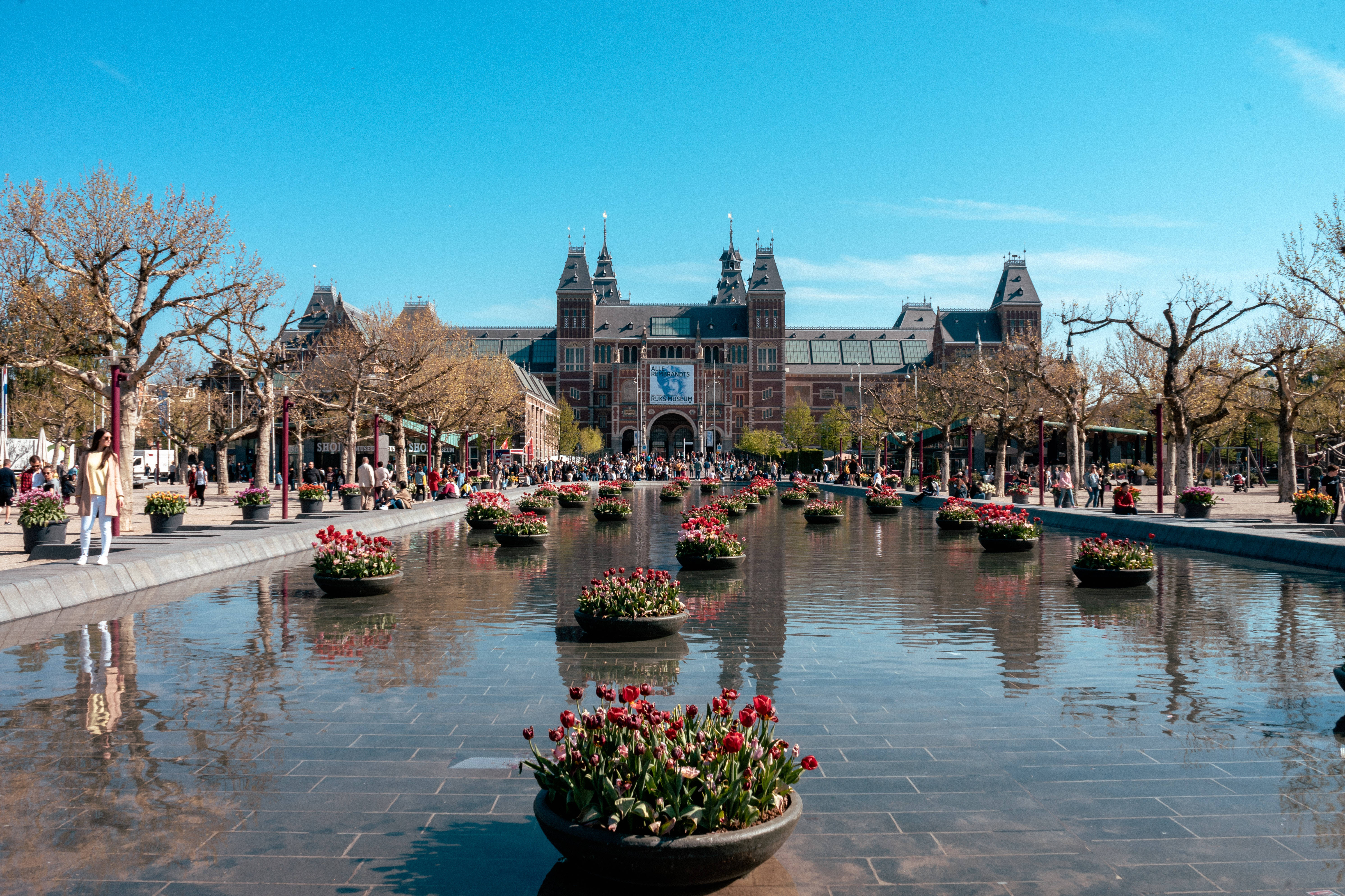 Rijksmuseum, red tulips, water feature, 5K Desktop Wallpaper