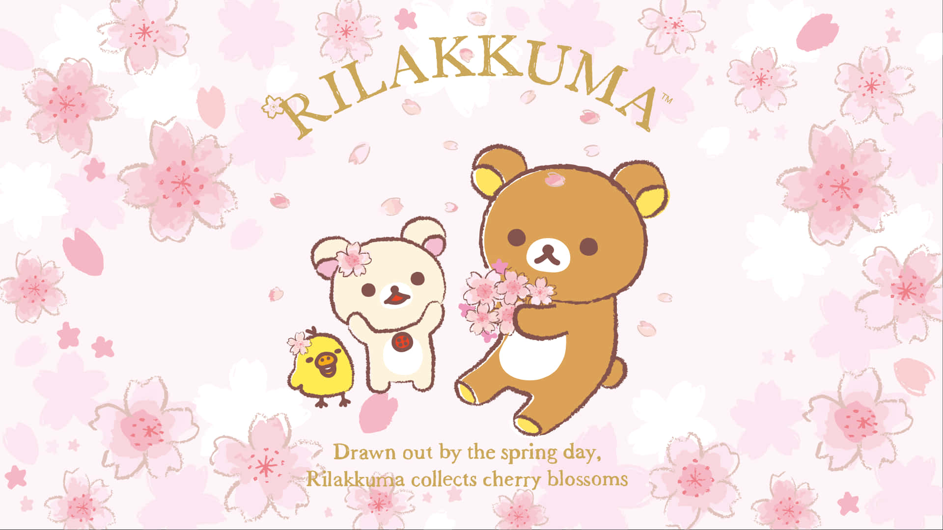 Rilakkuma, cherry blossoms, soft pink floral backdrop, Full HD Desktop Wallpaper