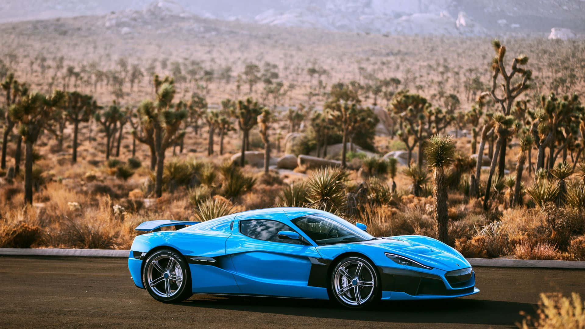 Rimac Nevera, desert road, Joshua trees, Full HD Desktop Wallpaper
