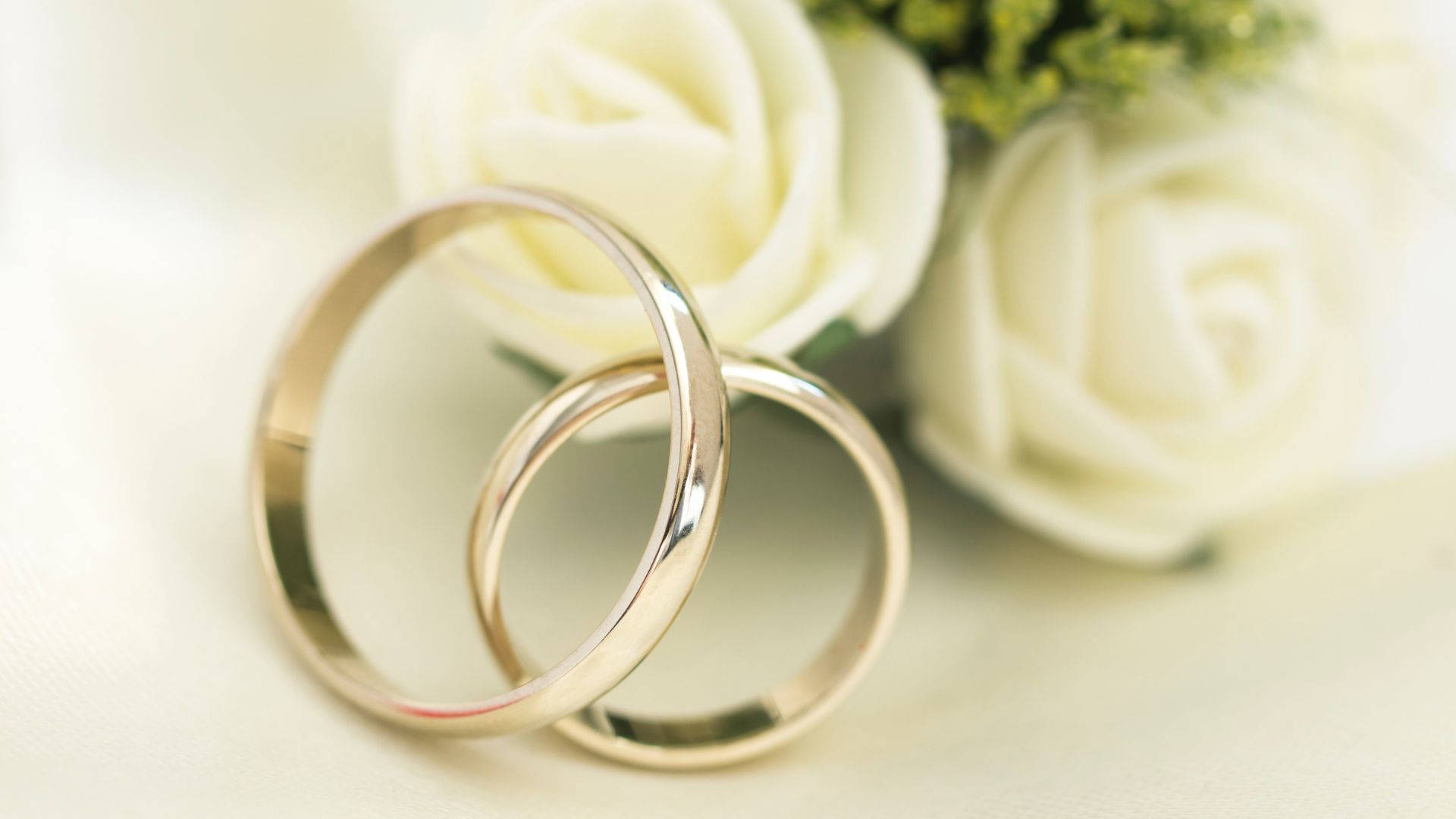 white gold wedding ring, silver wedding bands, white roses, Full HD Desktop Wallpaper