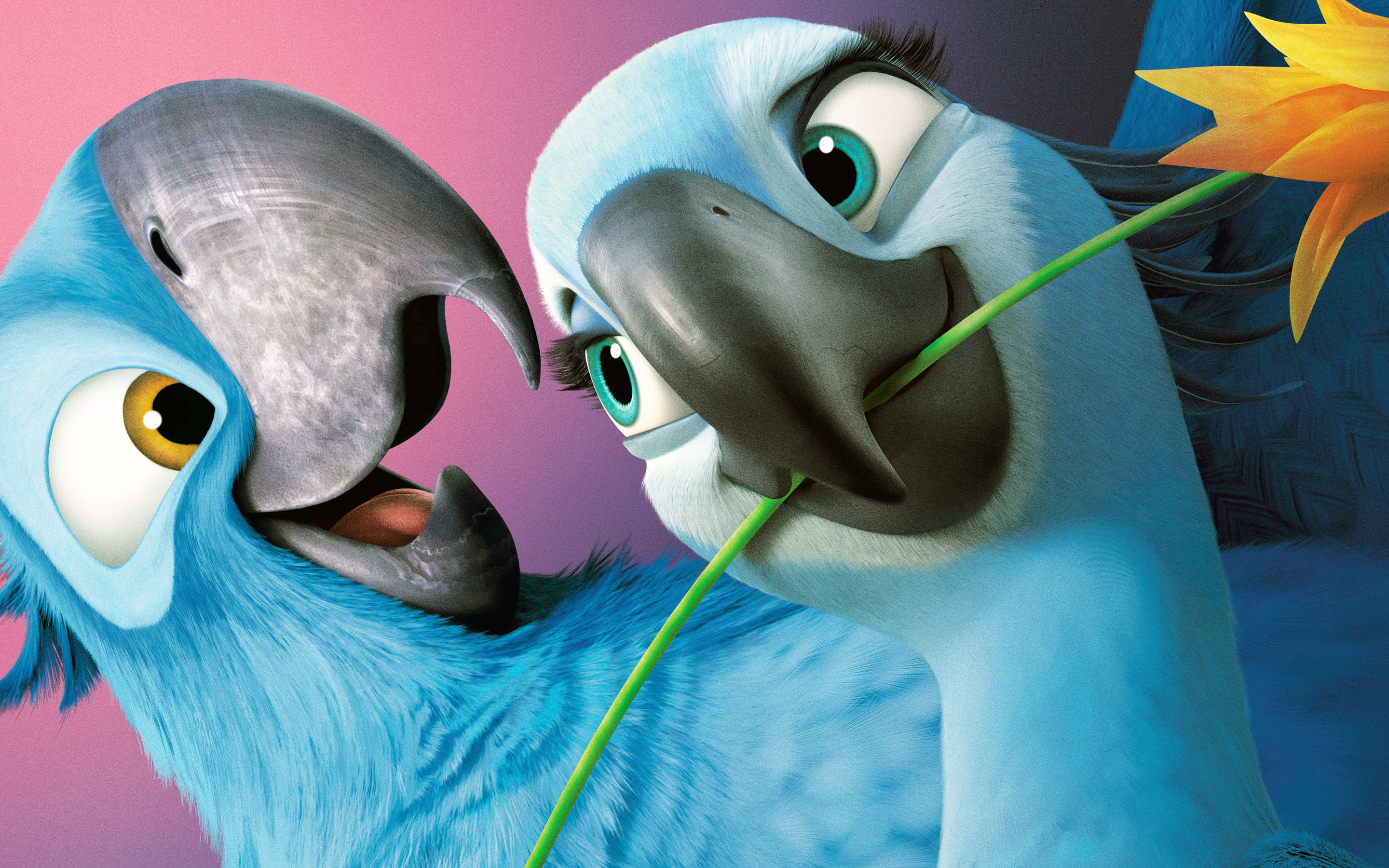 Rio 2, blue macaws, expressive eyes, 2K Desktop Wallpaper