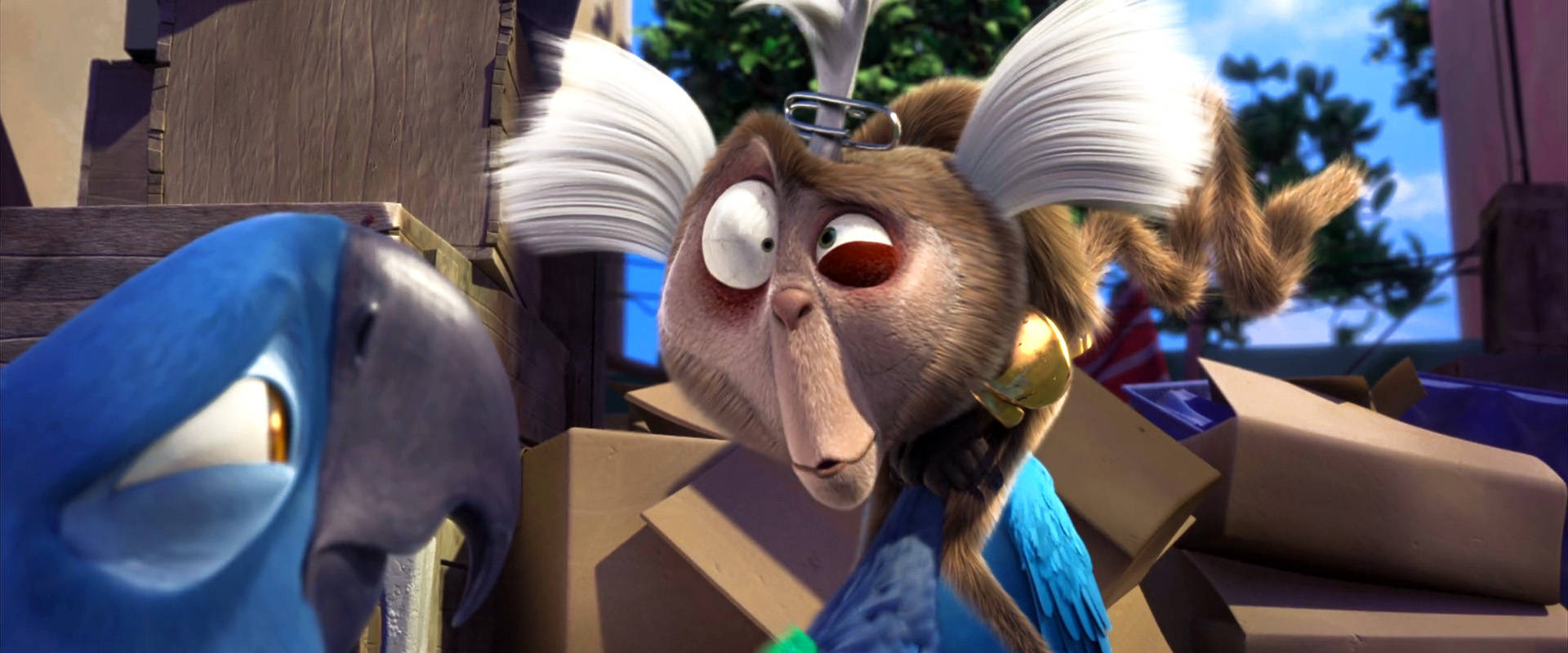 Rio 2, blue macaw, monkey with book wings, Full HD Desktop Wallpaper