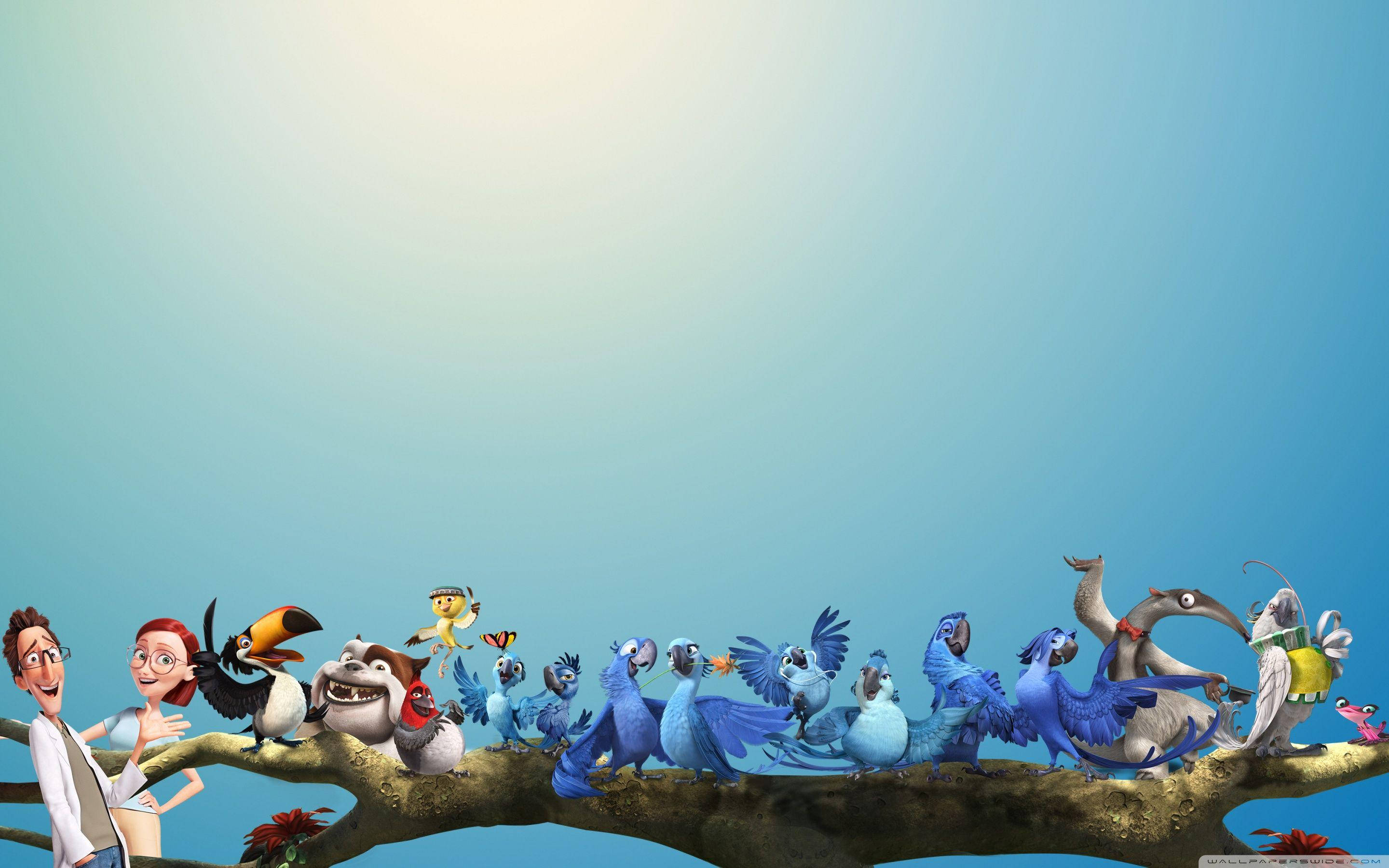 Rio, blue gradient background, colorful birds, 2K Desktop Wallpaper
