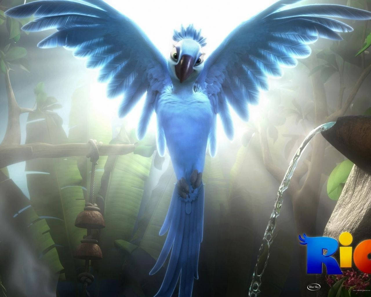 Rio, blue macaw, jungle, HD Desktop Wallpaper