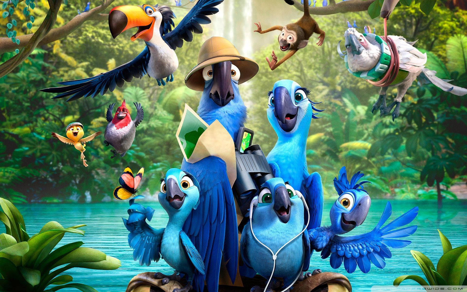 Rio, blue macaws, toucans, Full HD Desktop Wallpaper