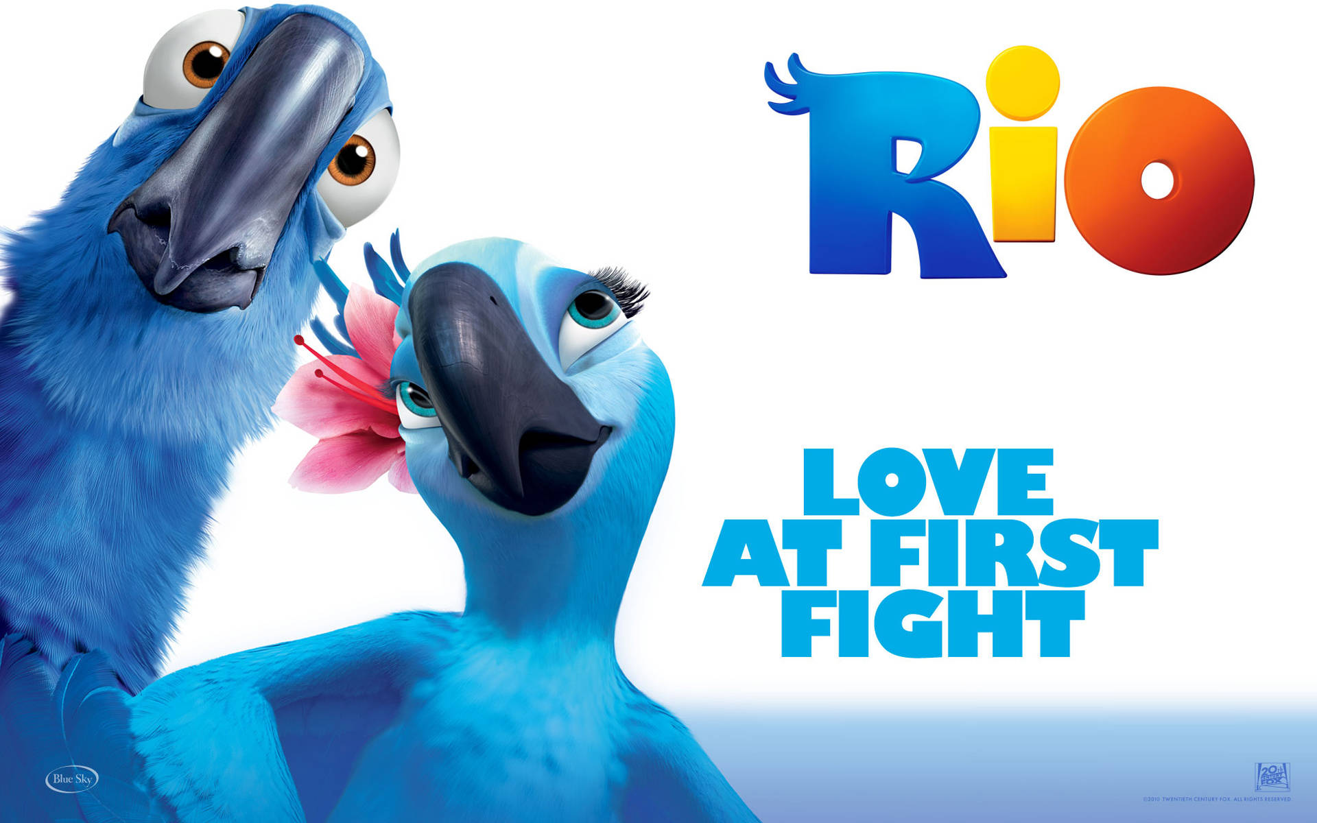 Rio, macaws, pink hibiscus, Full HD Desktop Wallpaper