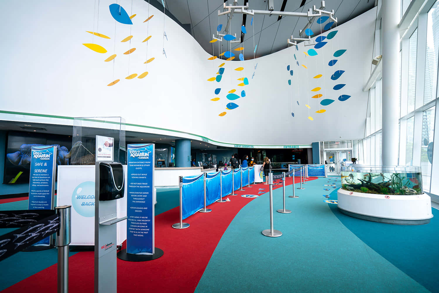 Ripley’s Aquarium, lobby entrance, curved white walls, HD Desktop Wallpaper