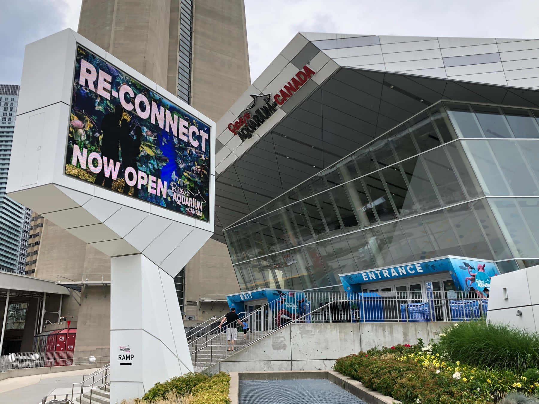 Ripley’s Aquarium, glass and steel, digital sign, HD Desktop Wallpaper