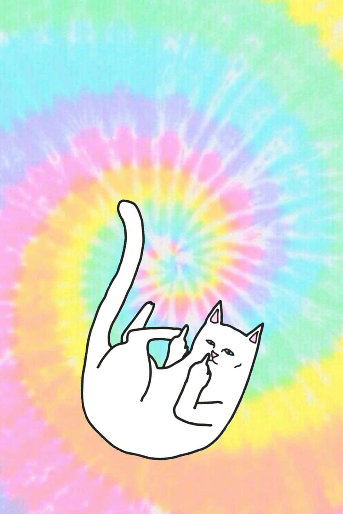Ripndip, white line-drawn cat, vibrant psychedelic tie-dye background, HD Phone Wallpaper