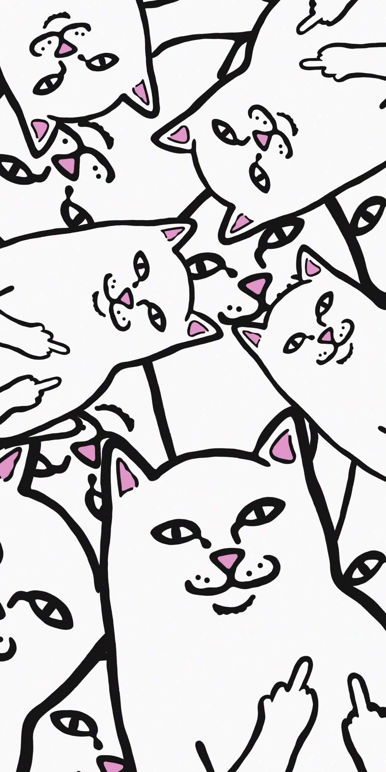 Rip N Dip collection, cartoon cats, pink accents, 2K Phone Wallpaper