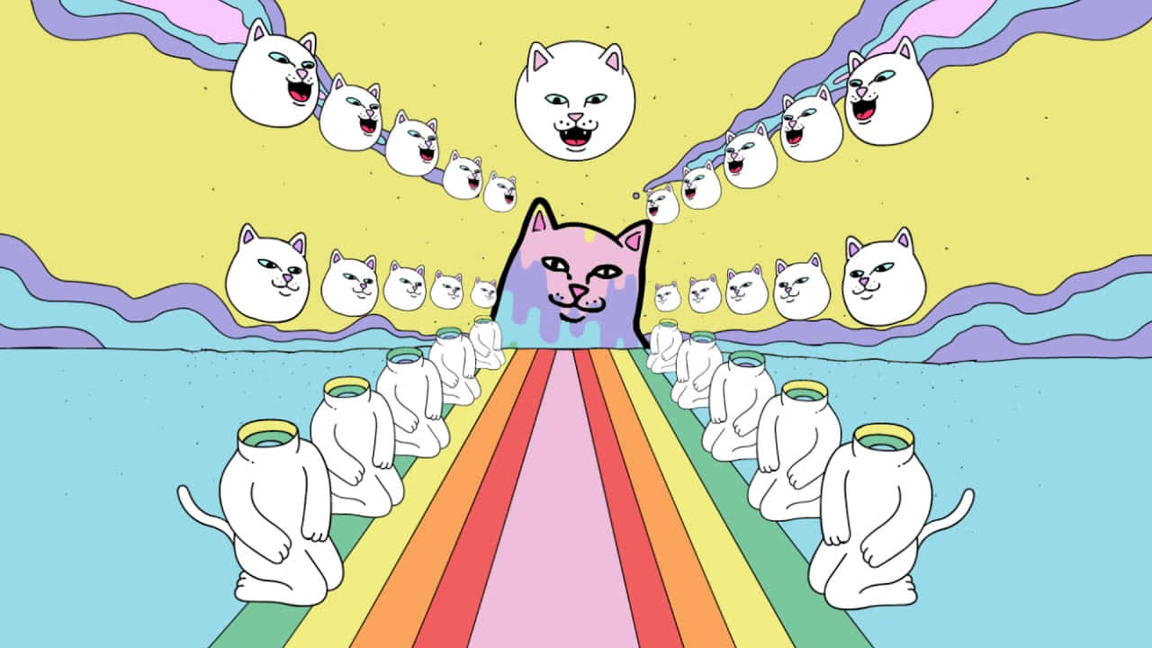 pink cat, rainbow path, smiling sun, HD Desktop Wallpaper