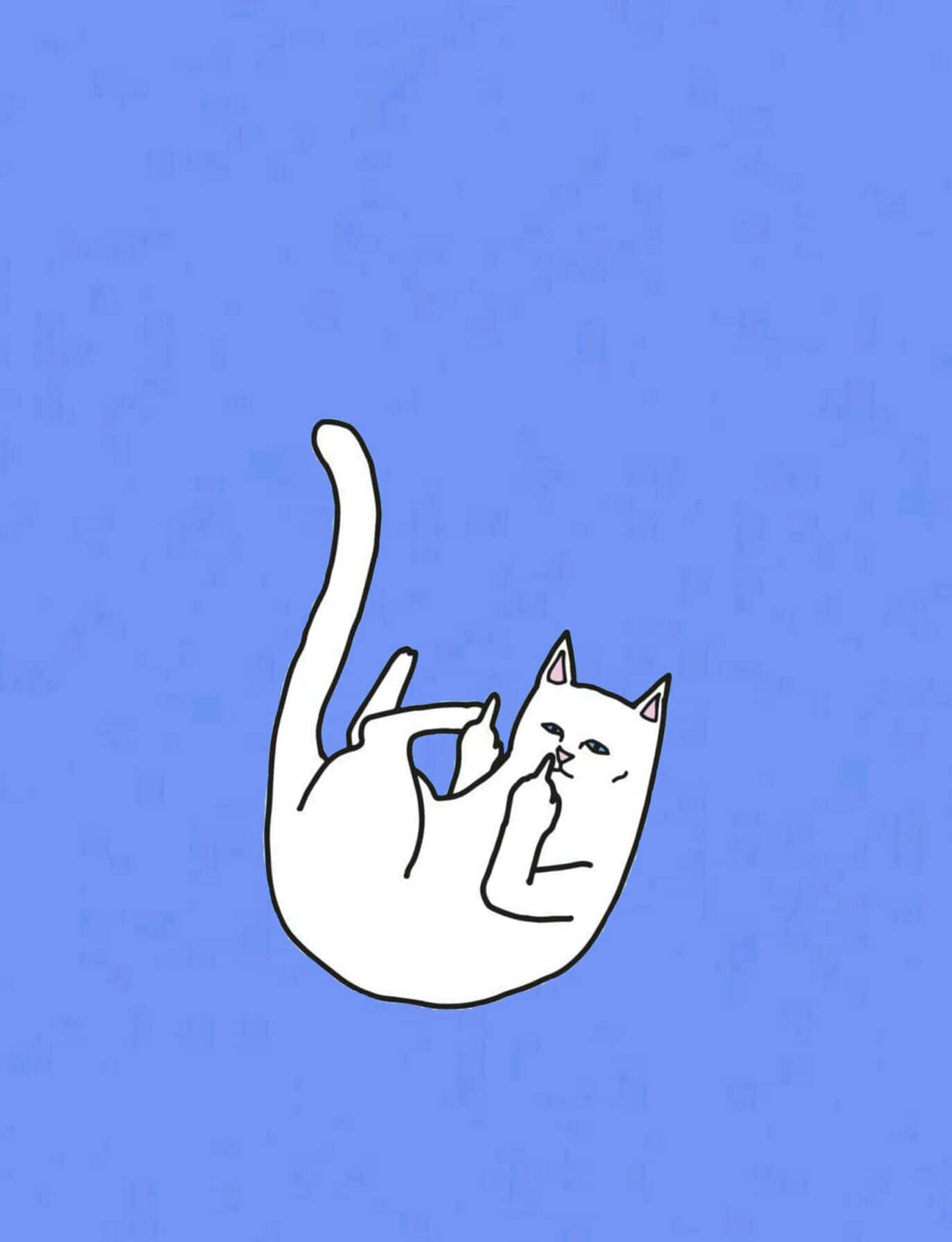 white cat, blue background, minimalist white line drawing, HD Phone Wallpaper