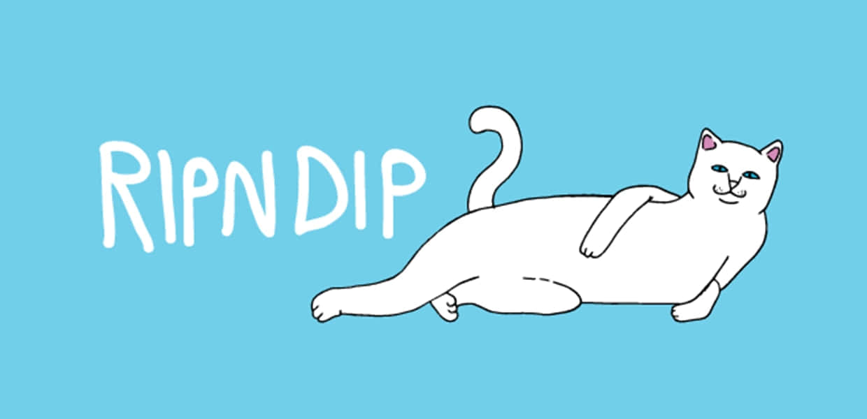 RIPNDIP, white cartoon cat, solid blue background, SD Desktop Wallpaper