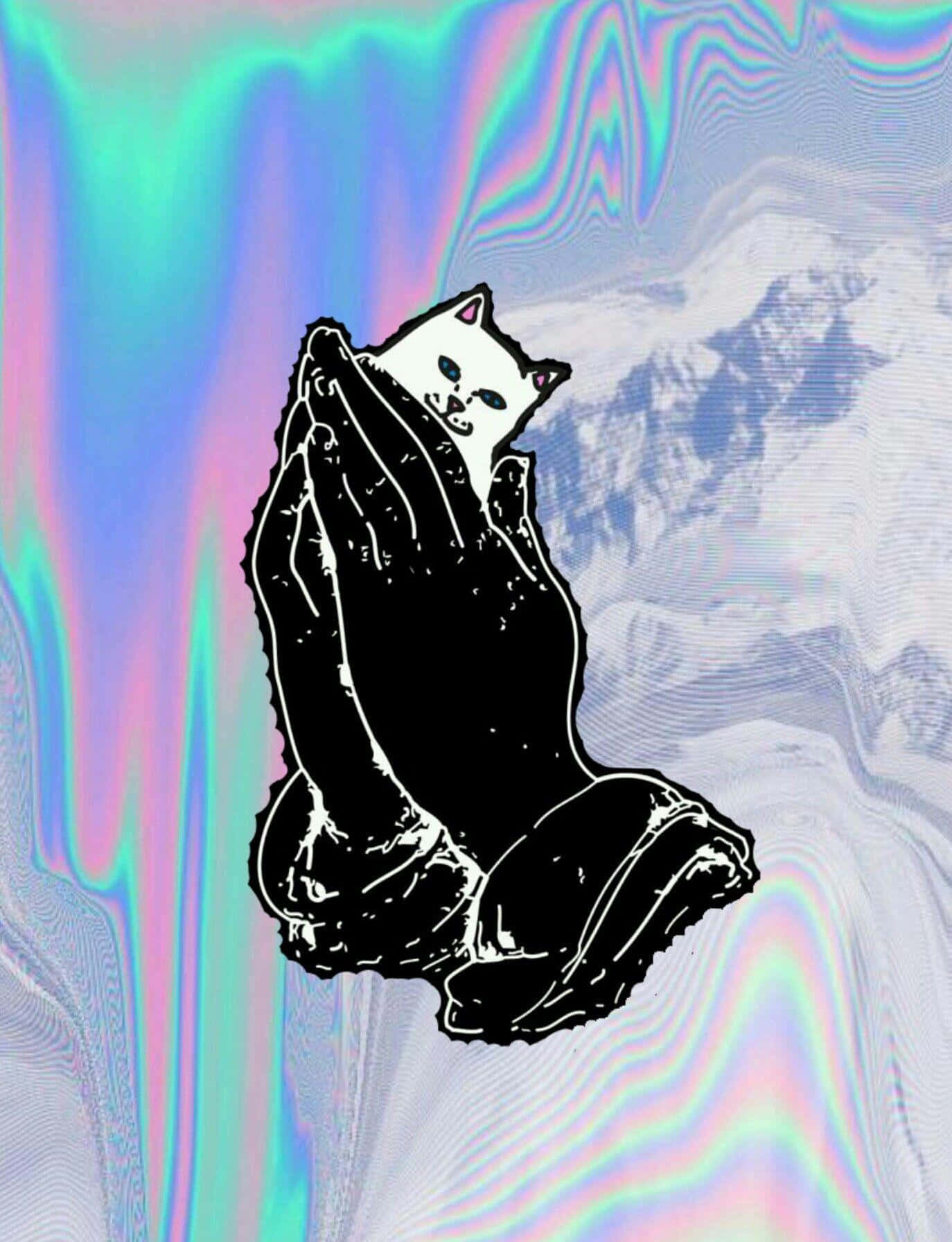 Ripndip, white cat, snow globe, HD Phone Wallpaper