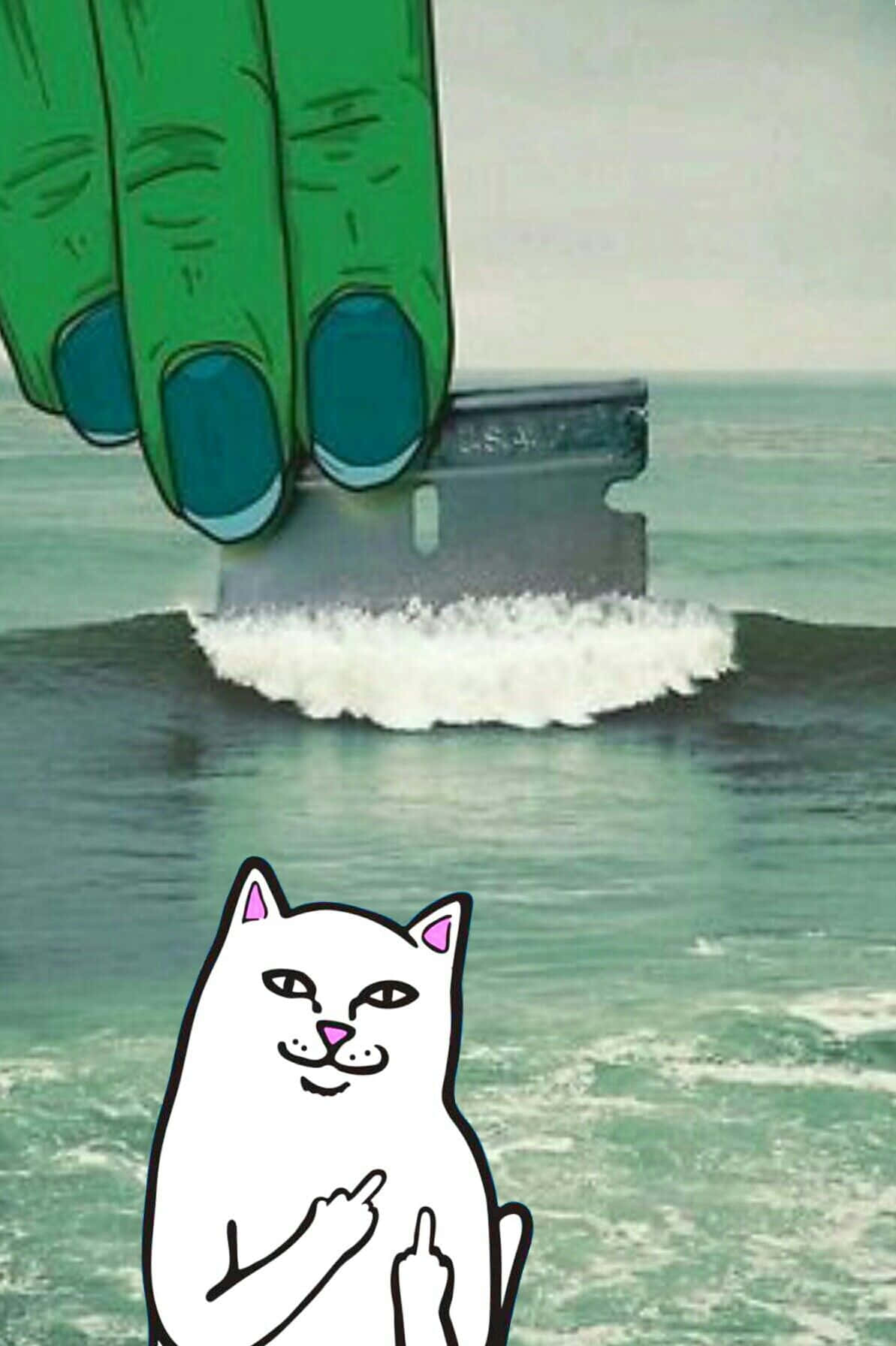 RIPNDIP, cartoon cat, giant green hand, HD Phone Wallpaper