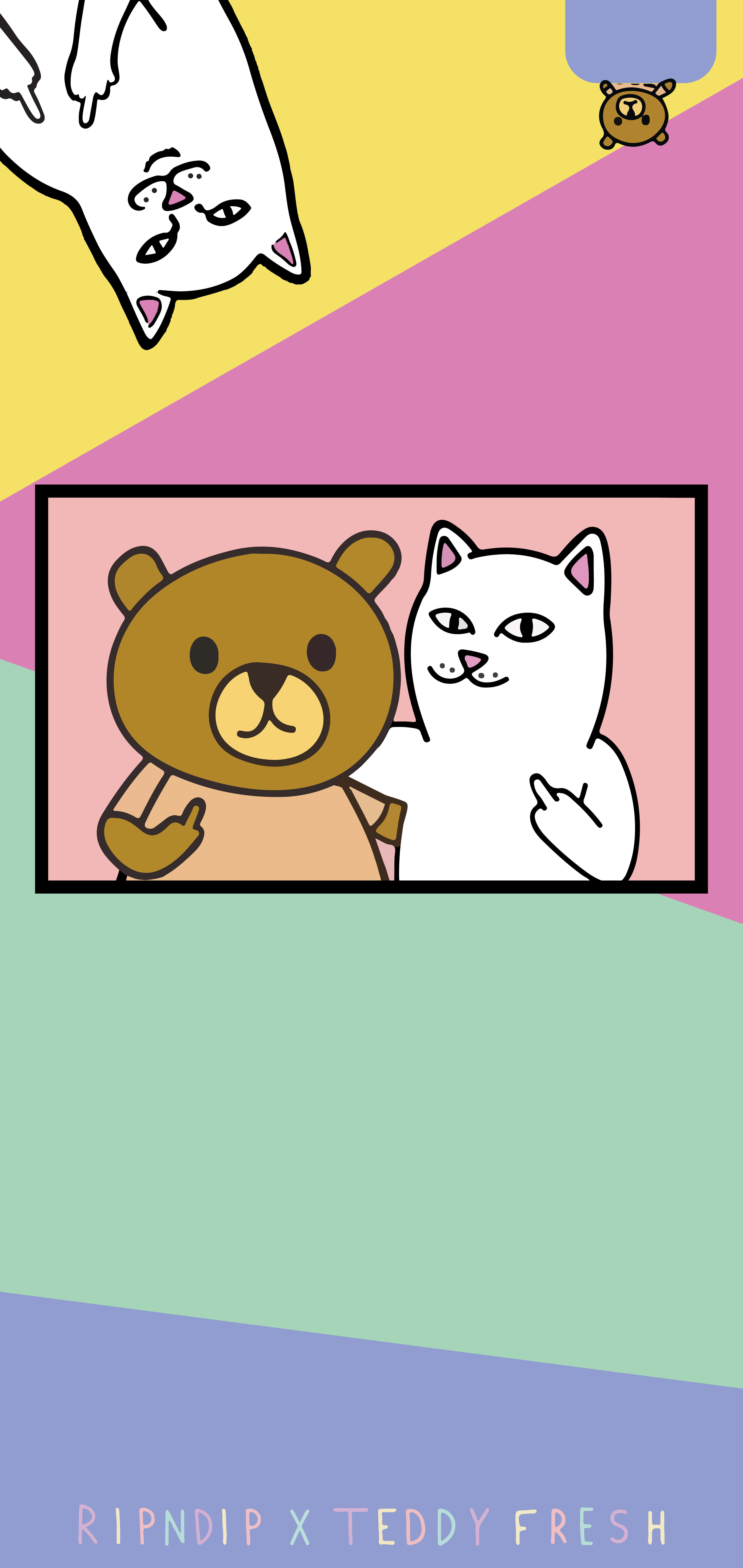RipNDip, cartoon bear, cat, 8K Phone Wallpaper