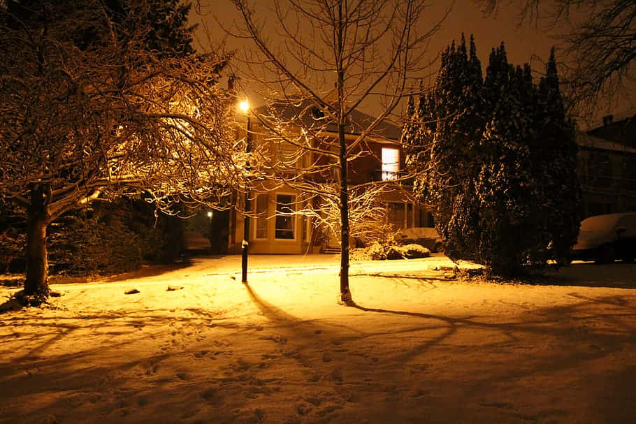 Ripon United Kingdom, winter night, snowfall, SD Desktop Wallpaper