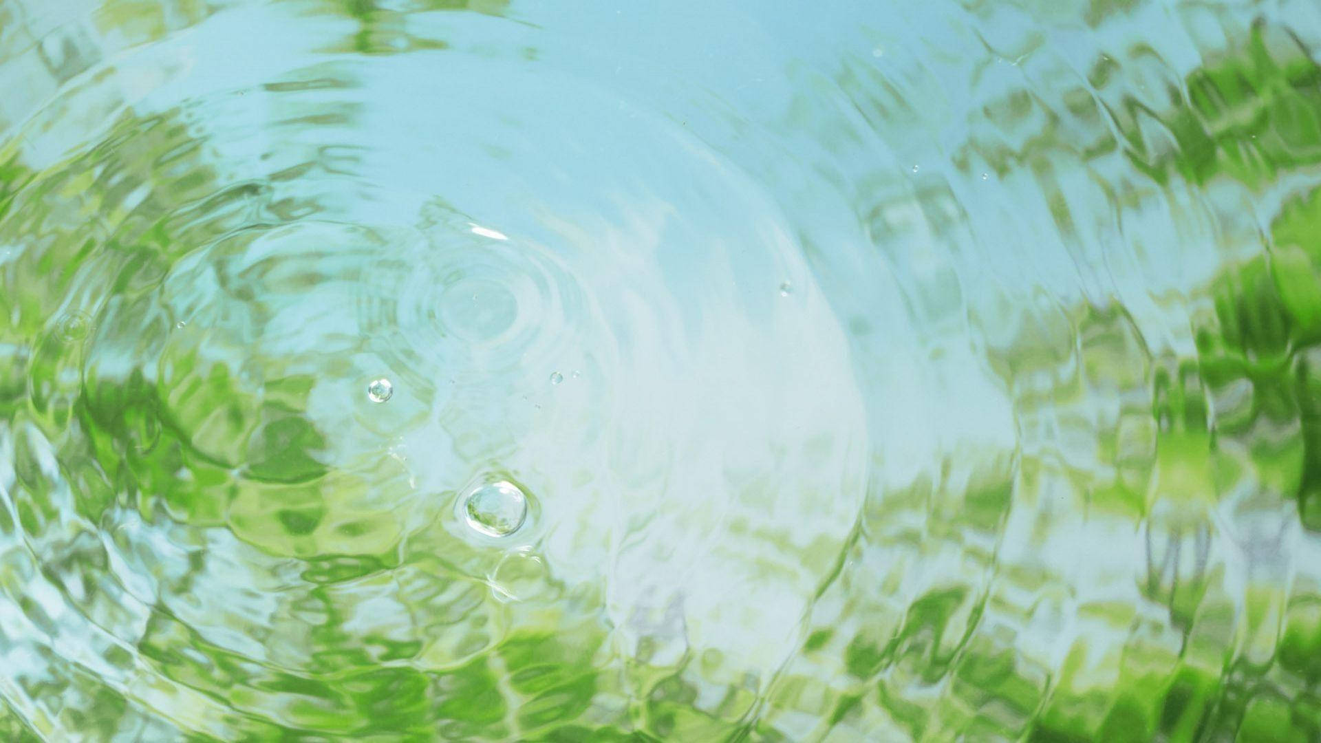 ripping water, tree reflection, vibrant green foliage, Full HD Desktop Wallpaper