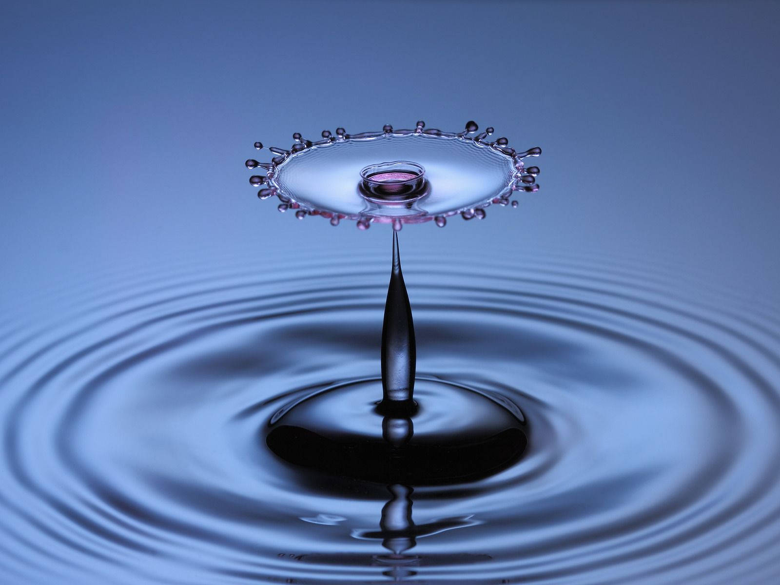 flower-like drop, rippling water, concentric ripples, HD Desktop Wallpaper