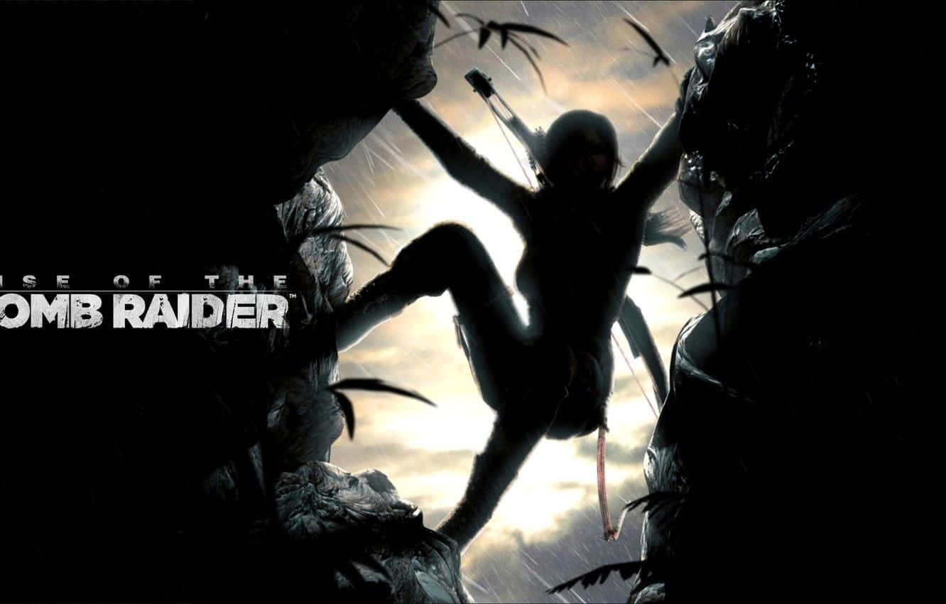 Rise Of The Tomb Raider, tomb raider, cliff, HD Desktop Wallpaper