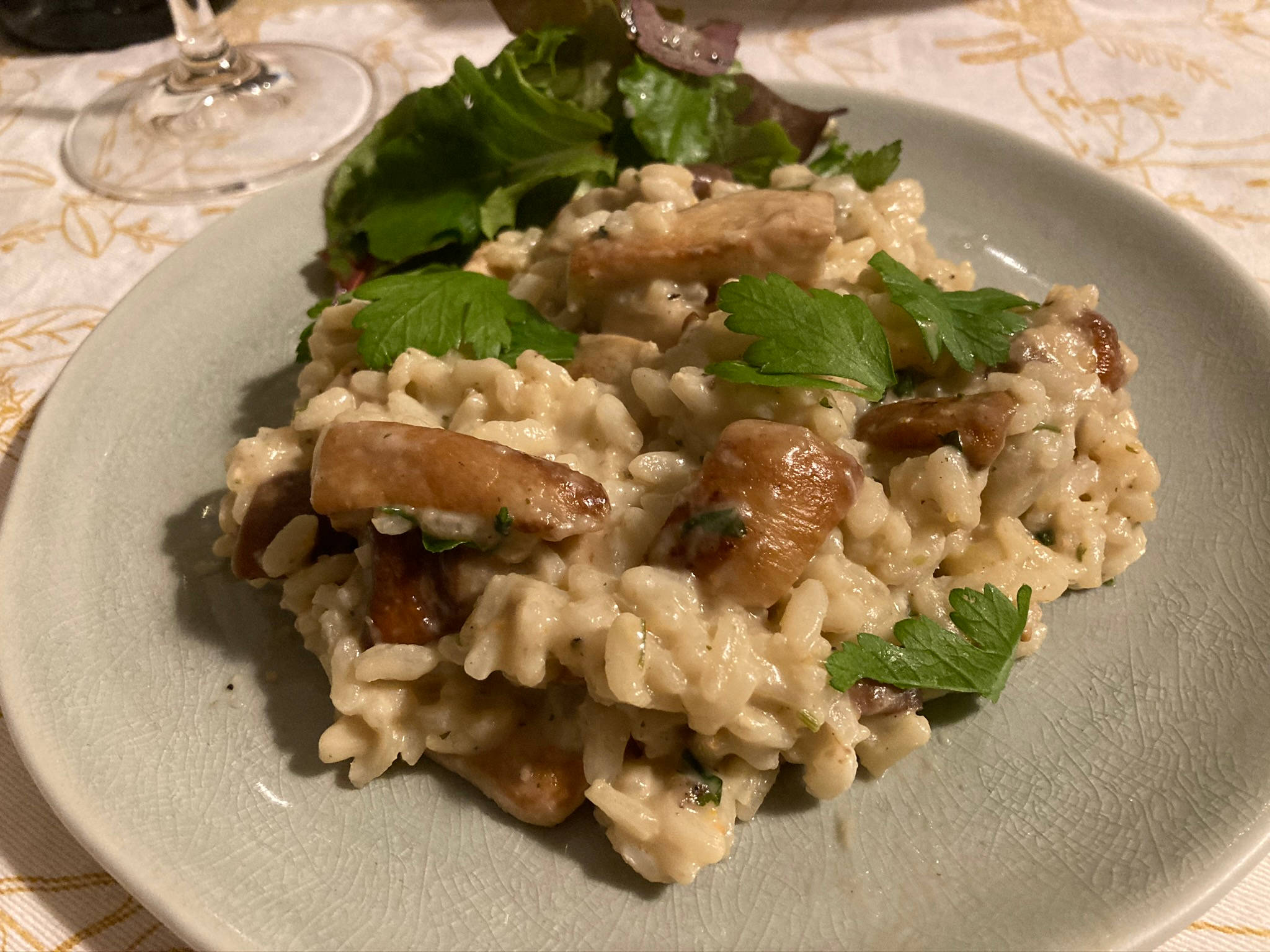 Risotto, mushroom risotto, fresh parsley, Full HD Desktop Wallpaper
