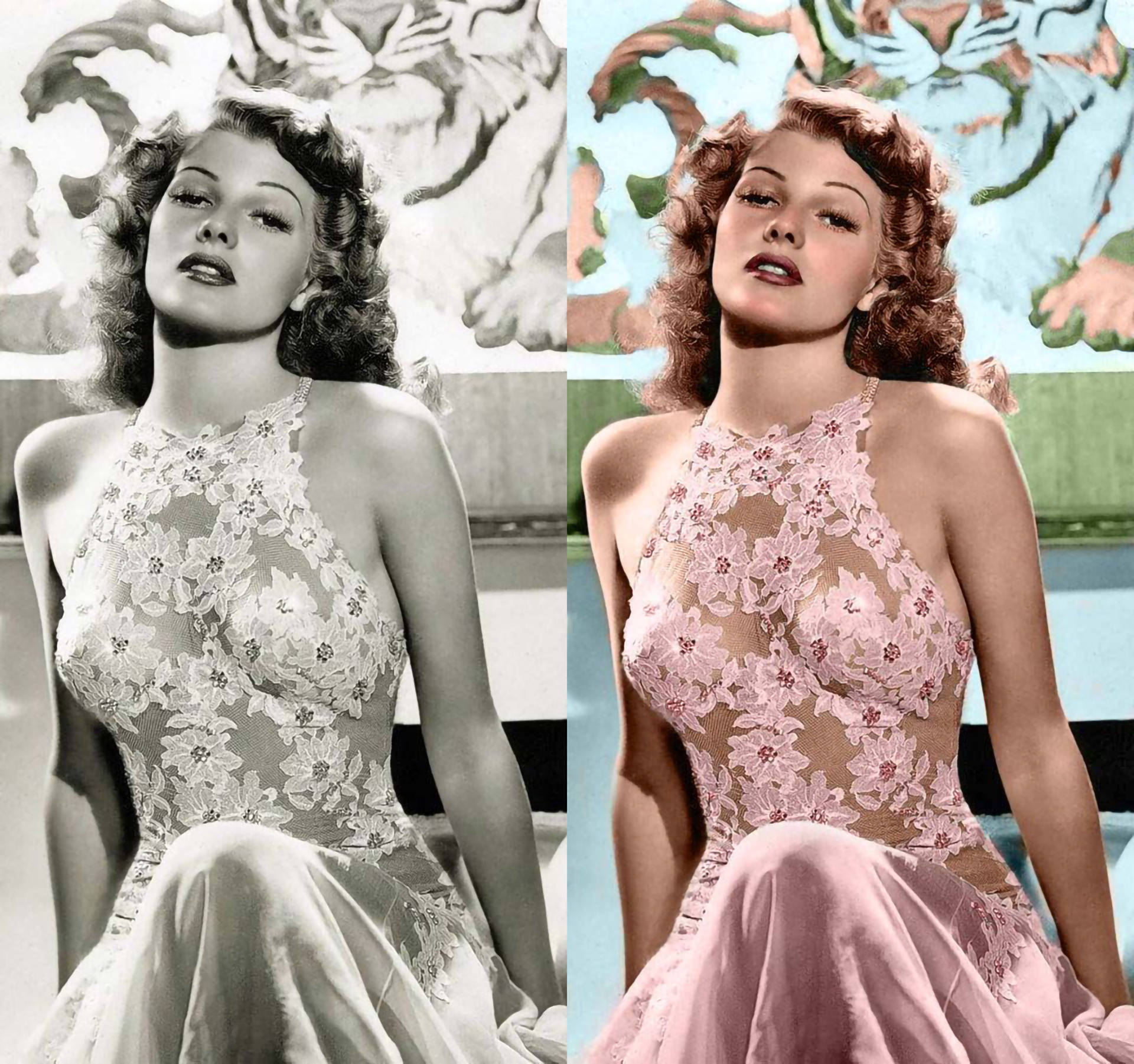 Rita Hayworth, floral lace dress, tiger mural, Full HD Desktop Wallpaper