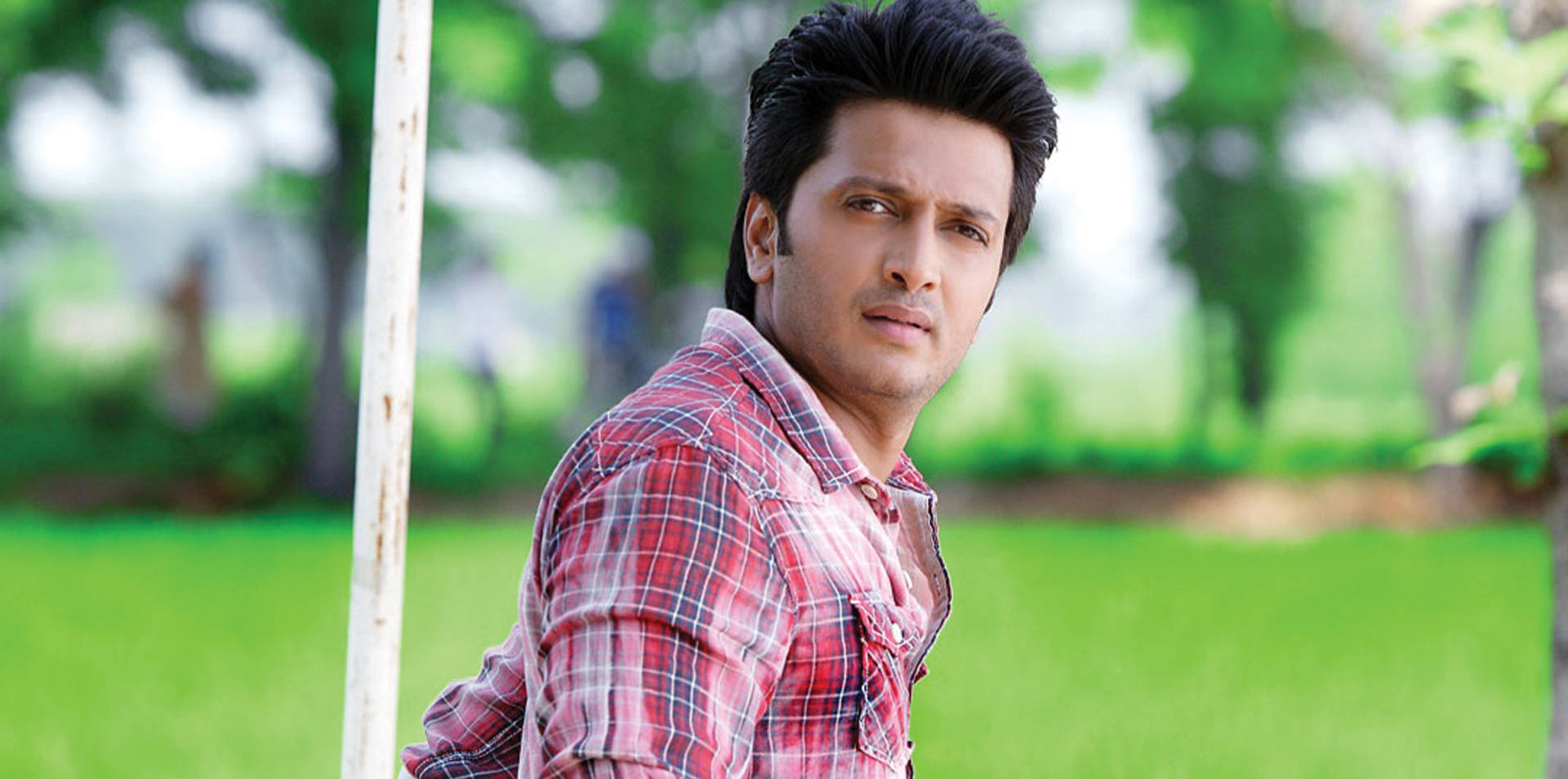 Riteish Deshmukh, red plaid shirt, sunlit green park, Full HD Desktop Wallpaper