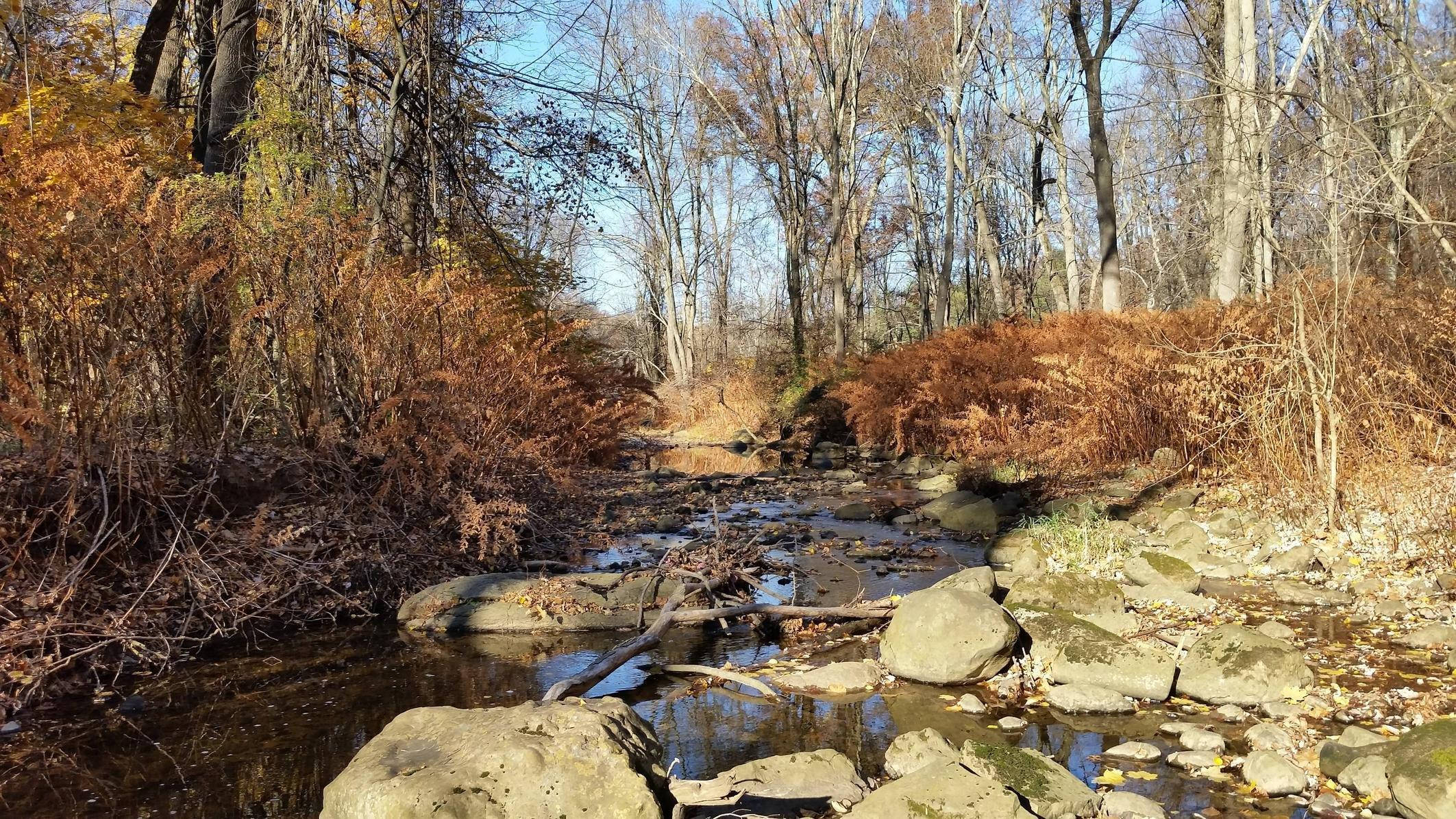 River in New Jersey, autumn stream, forest, Full HD Desktop Wallpaper