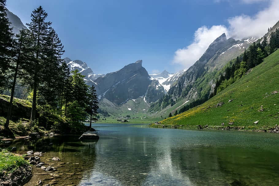 alpine lake, snow-capped peaks, lush green slopes, SD Desktop Wallpaper