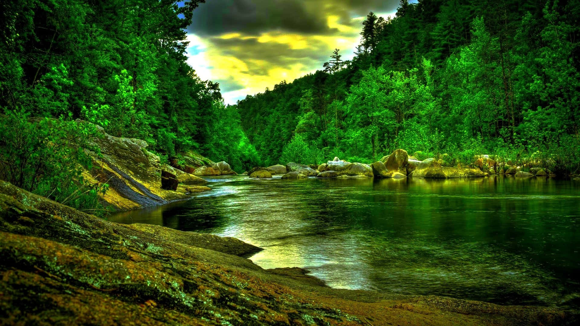 jungle desktop, vibrant green river, dense forest, Full HD Desktop Wallpaper