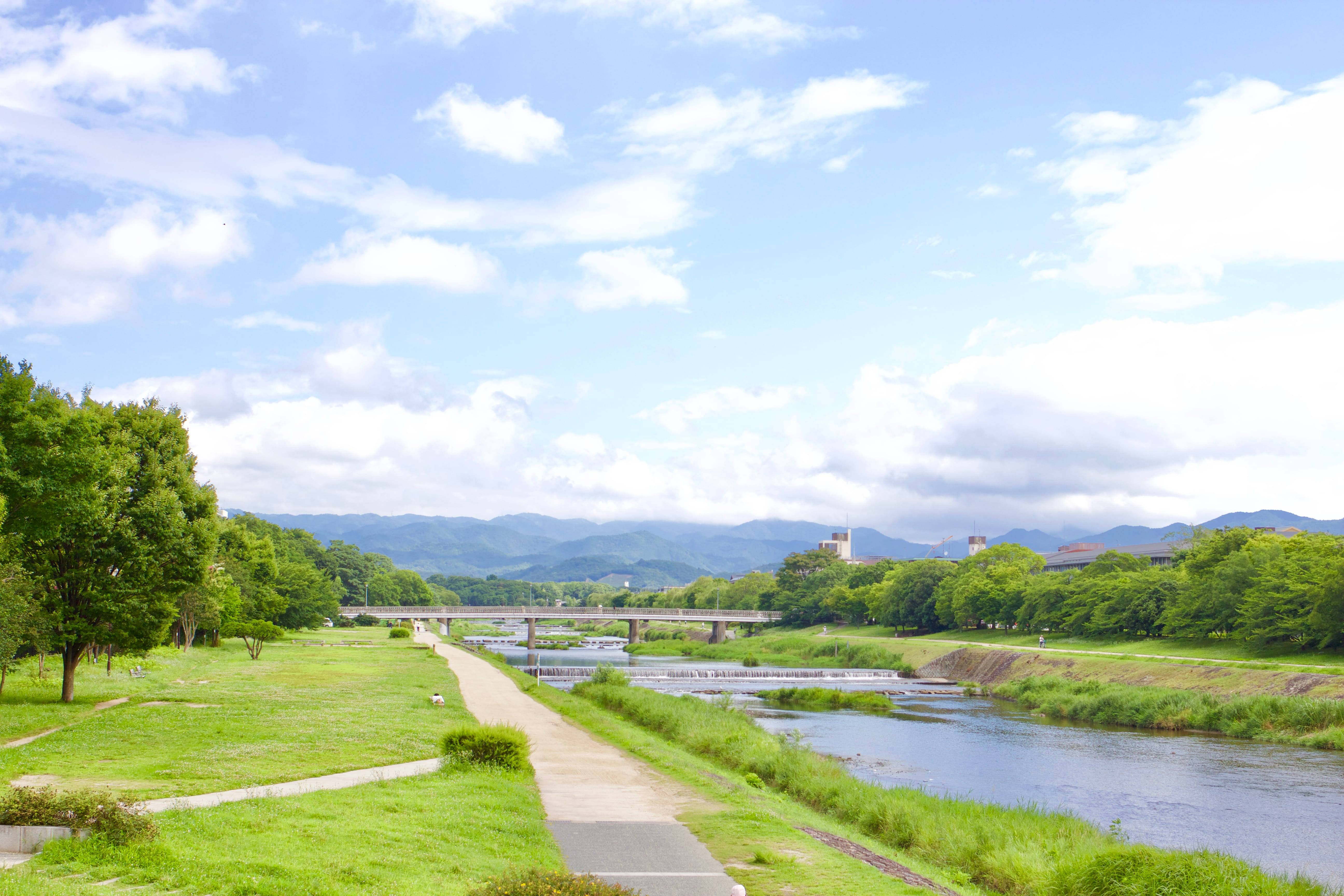 country summer river path, lush green park, winding path, 5K Desktop Wallpaper