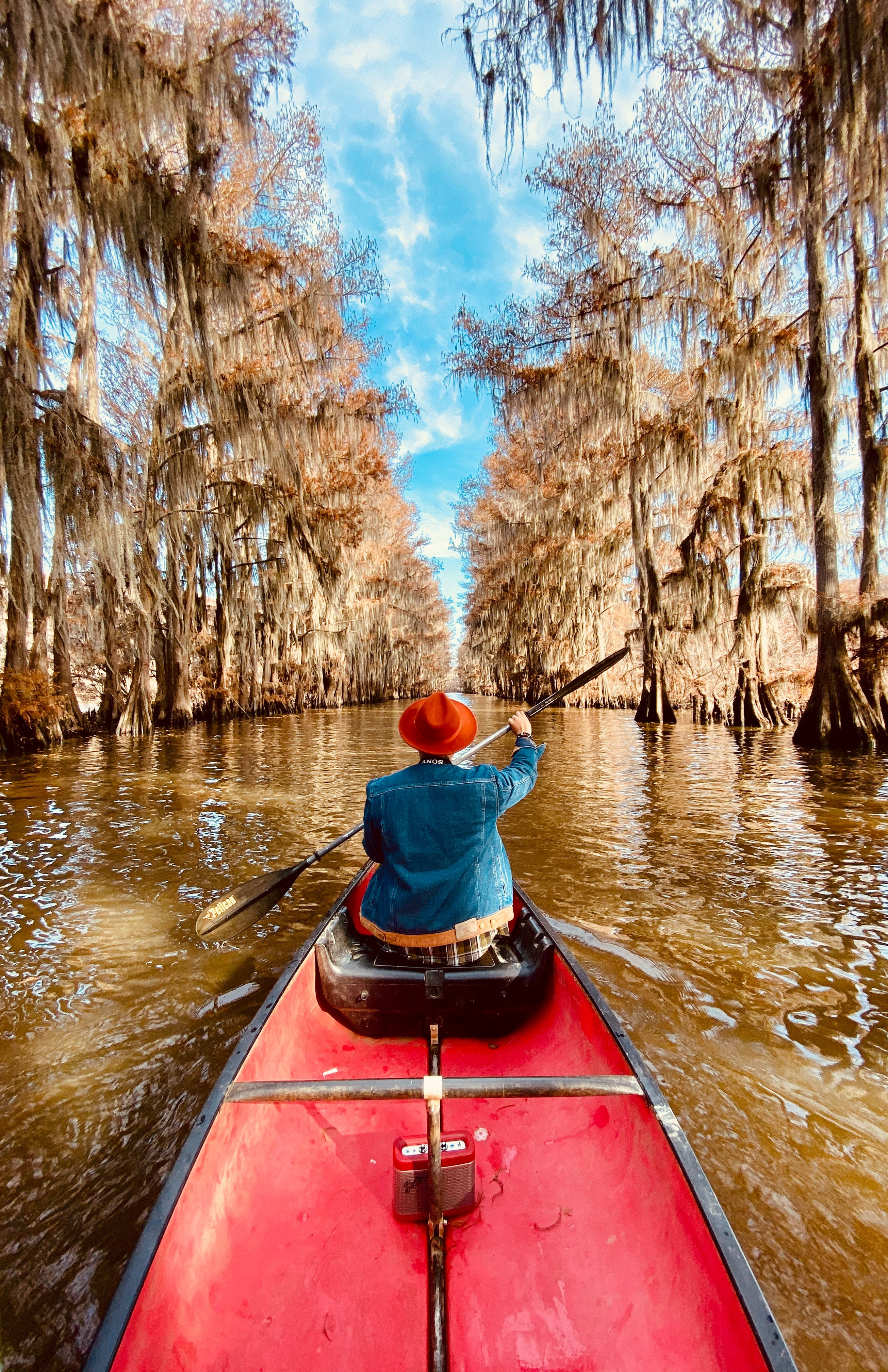 red hat, bright red canoe, cypress swamp, 4K Phone Wallpaper