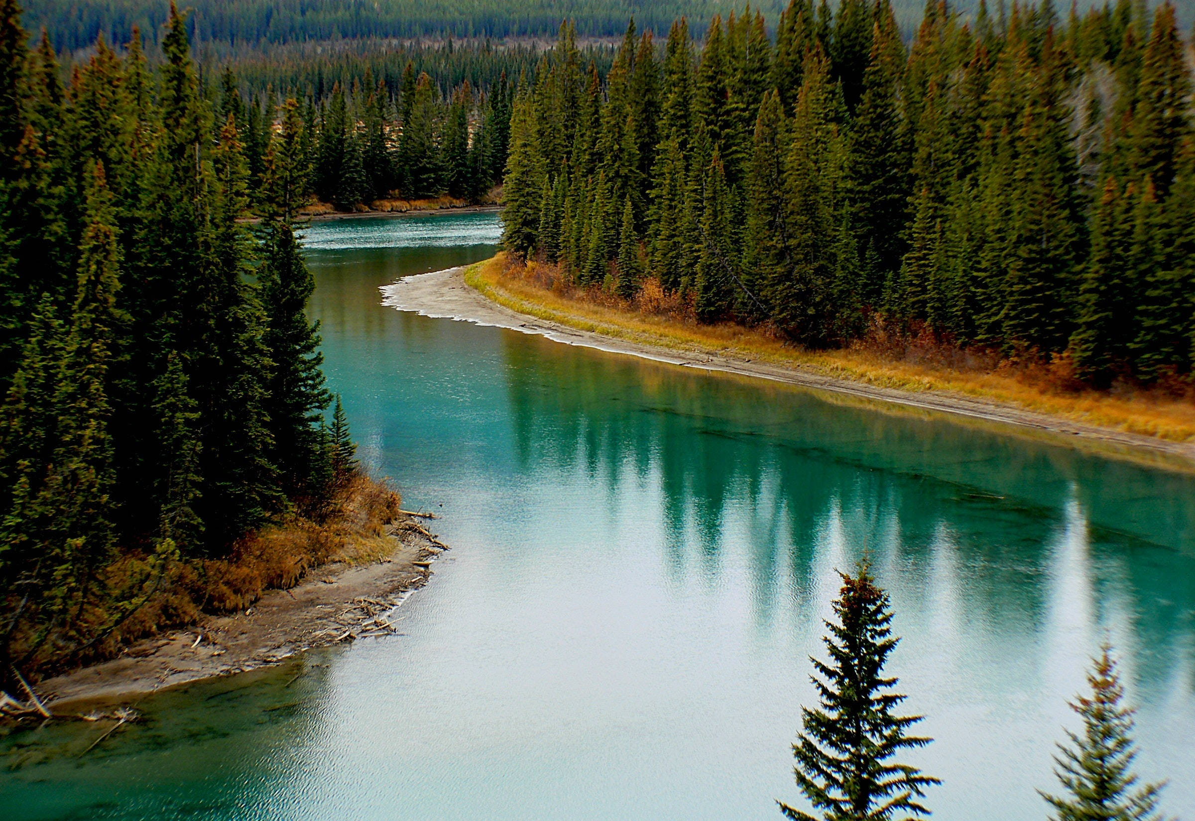 mossy green, turquoise river, evergreens, Full HD Desktop Wallpaper