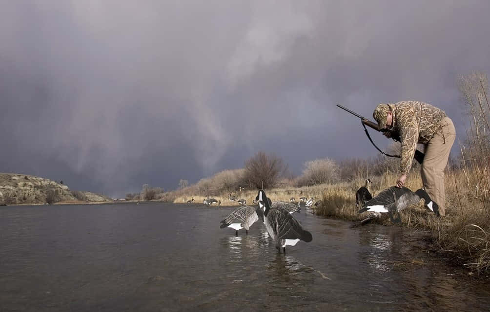 hunting camo, shotgun, geese, SD Desktop Wallpaper