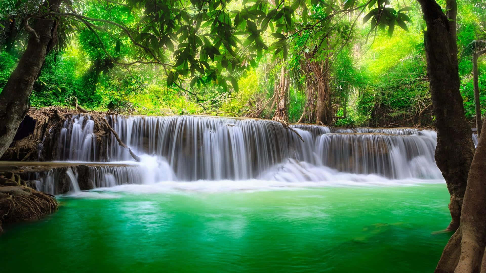 Green River, tropical forest, tropical waterfall, Full HD Desktop Wallpaper