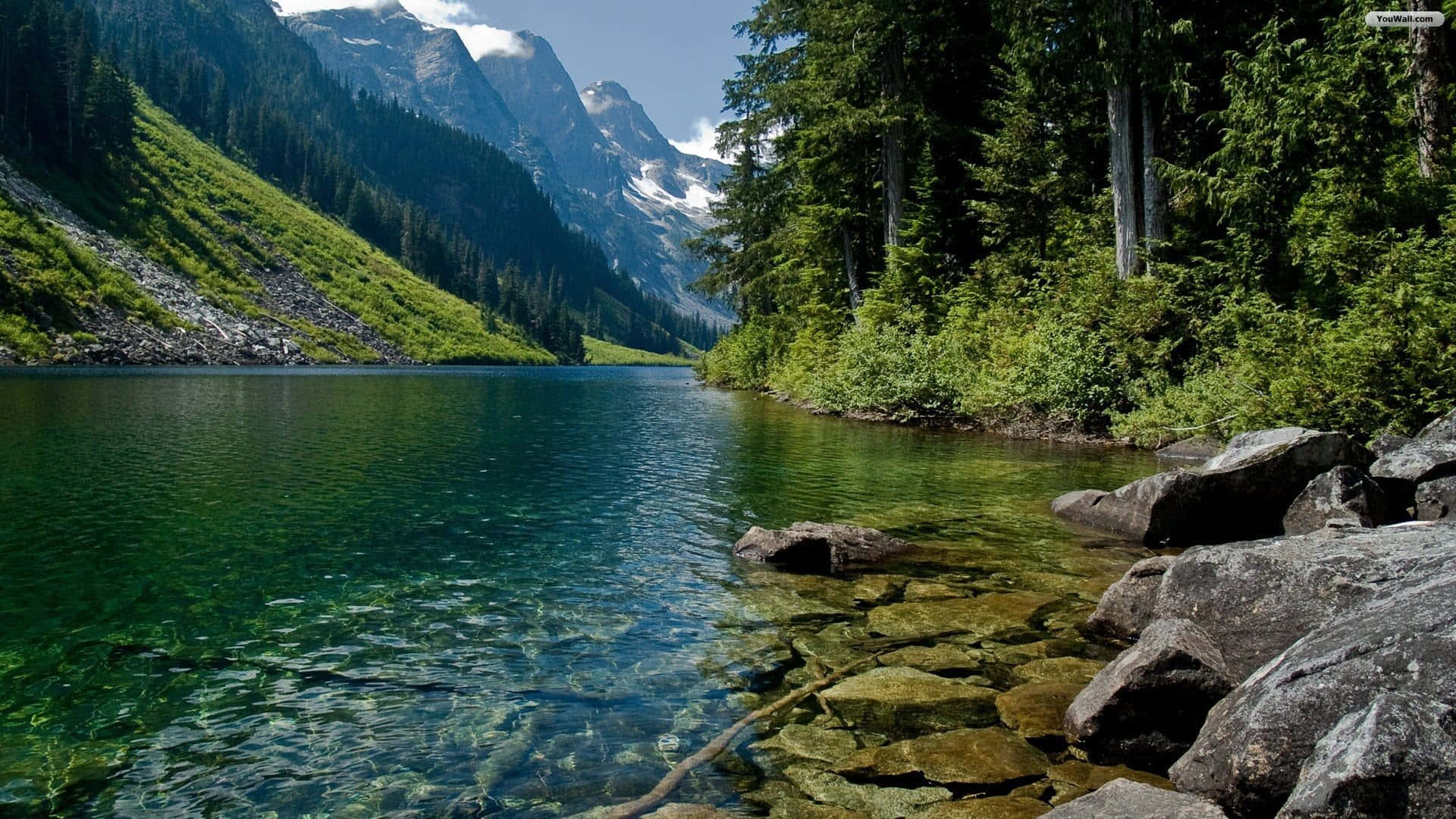 alpine lake, snow-capped mountains, lush green forests, Full HD Desktop Wallpaper