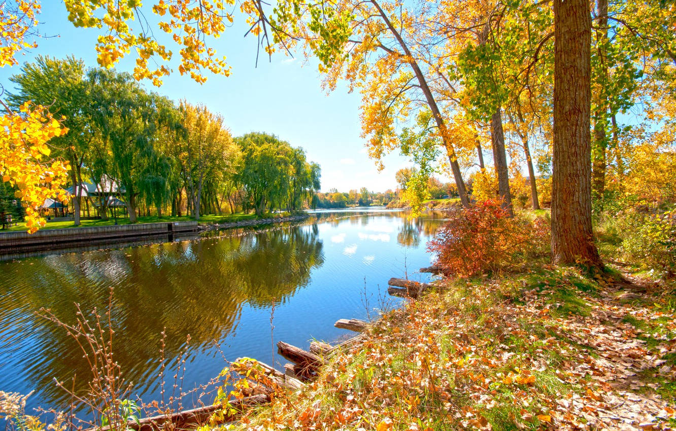 Sunny Morning At The Riverside, autumn river, trees with golden leaves, HD Desktop Wallpaper