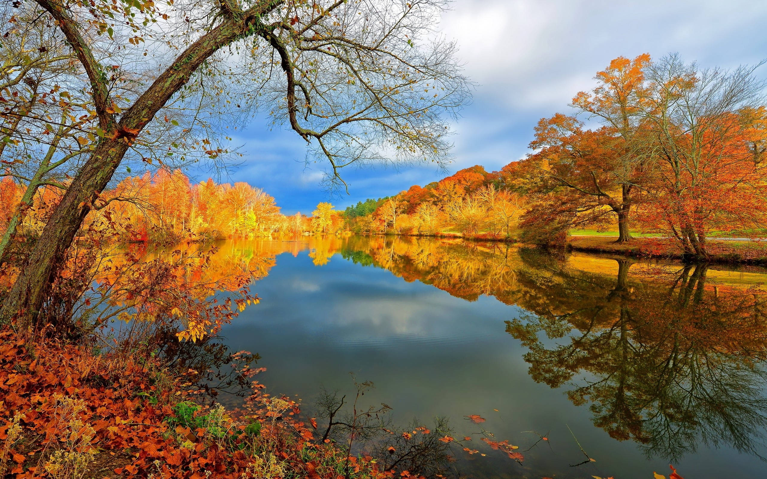 Riverside, autumn lake, fiery orange trees, 2K Desktop Wallpaper