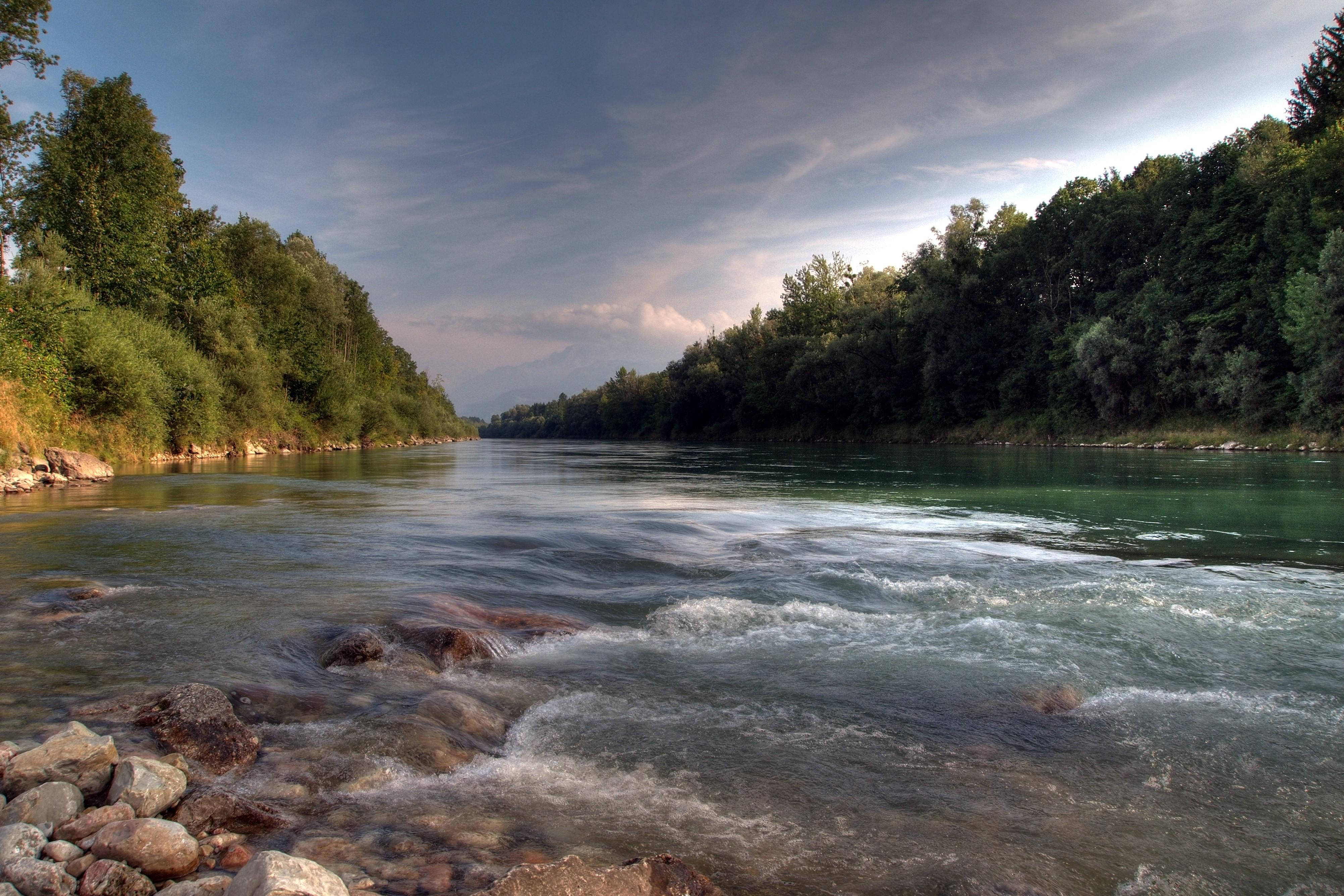 forested riverside, daytime, river, 4K Desktop Wallpaper